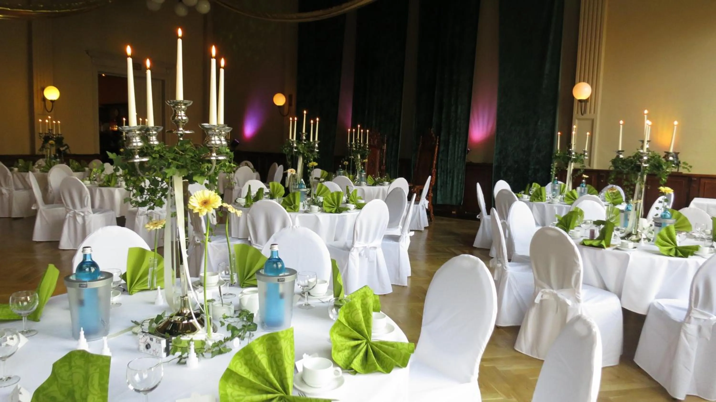 Banquet/Function facilities in Hotel Elefant