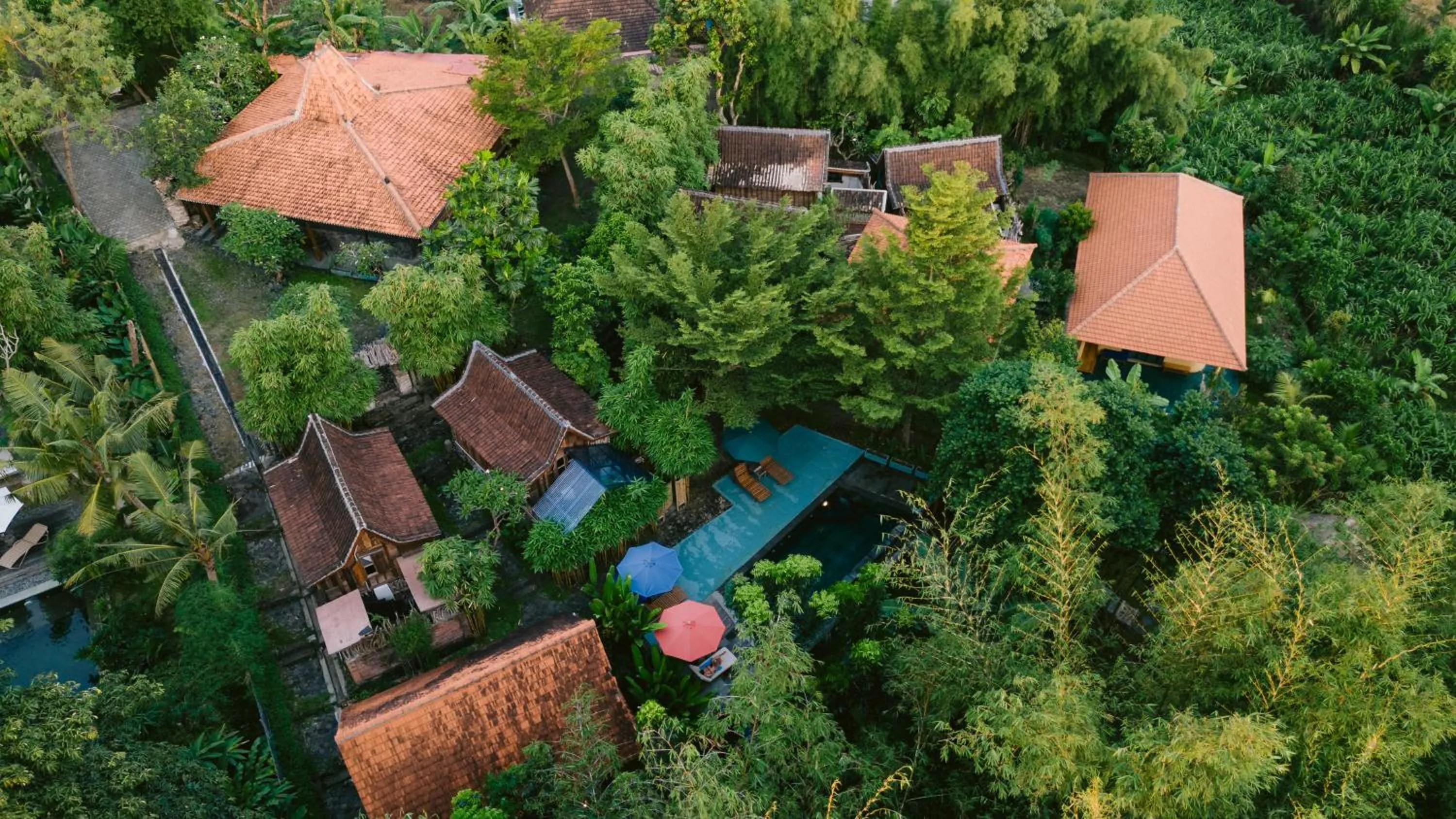 Property building in Ubuntu Bali Eco Yoga Retreat - CANGGU