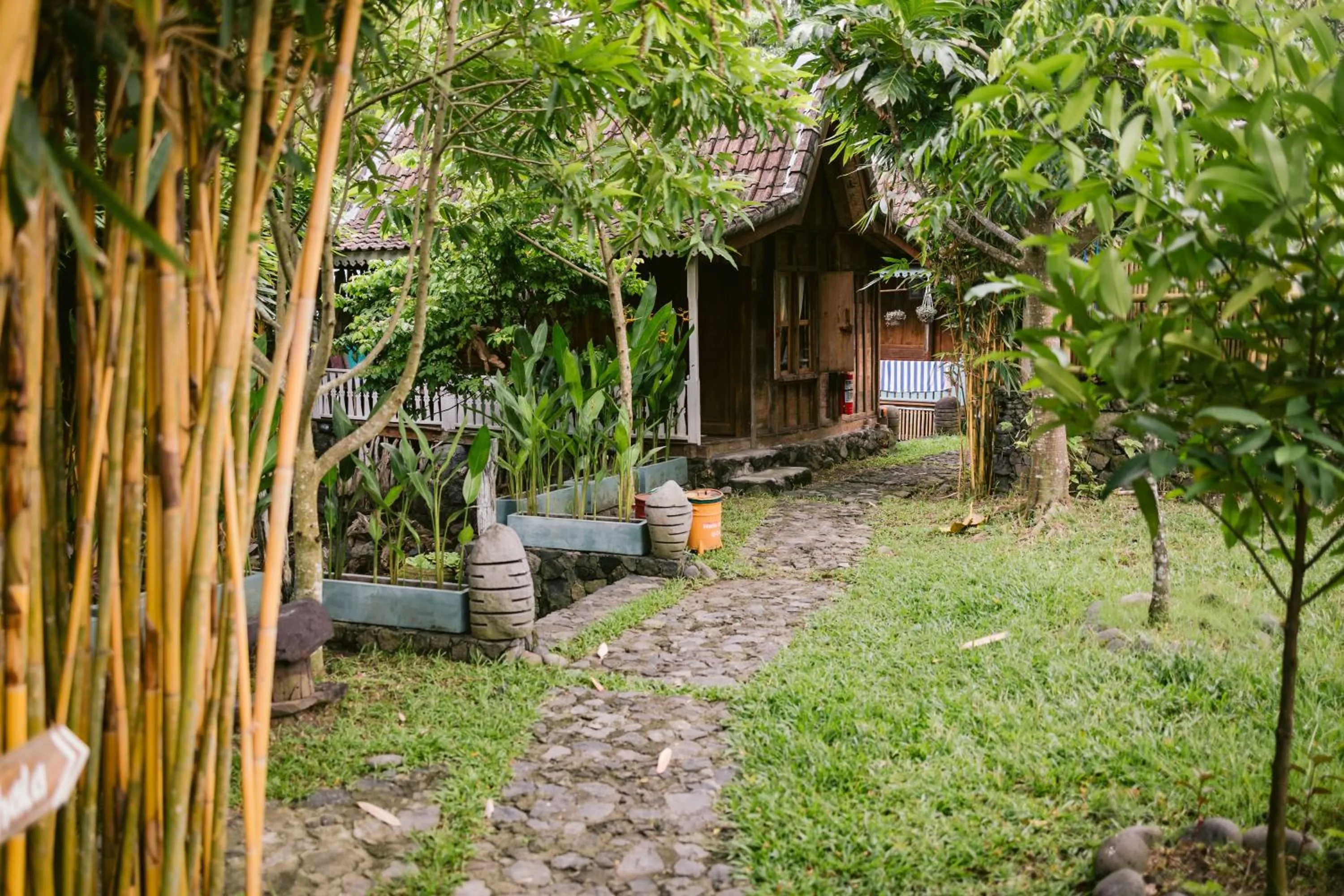 Property building in Ubuntu Bali Eco Yoga Retreat - CANGGU