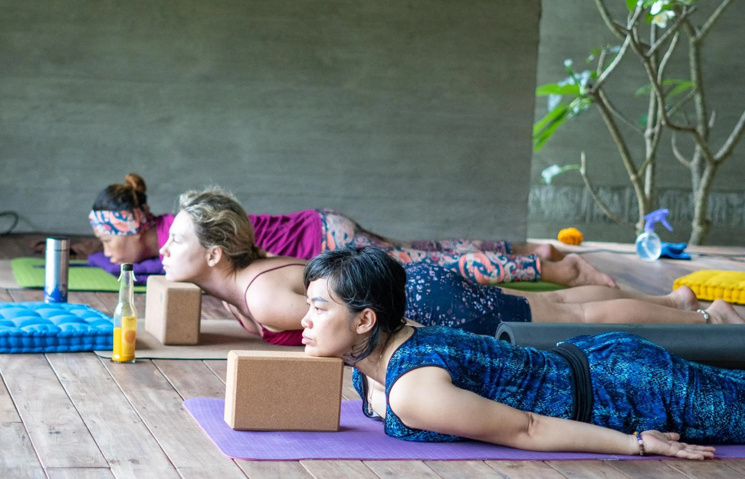 Activities in Ubuntu Bali Eco Yoga Retreat - CANGGU