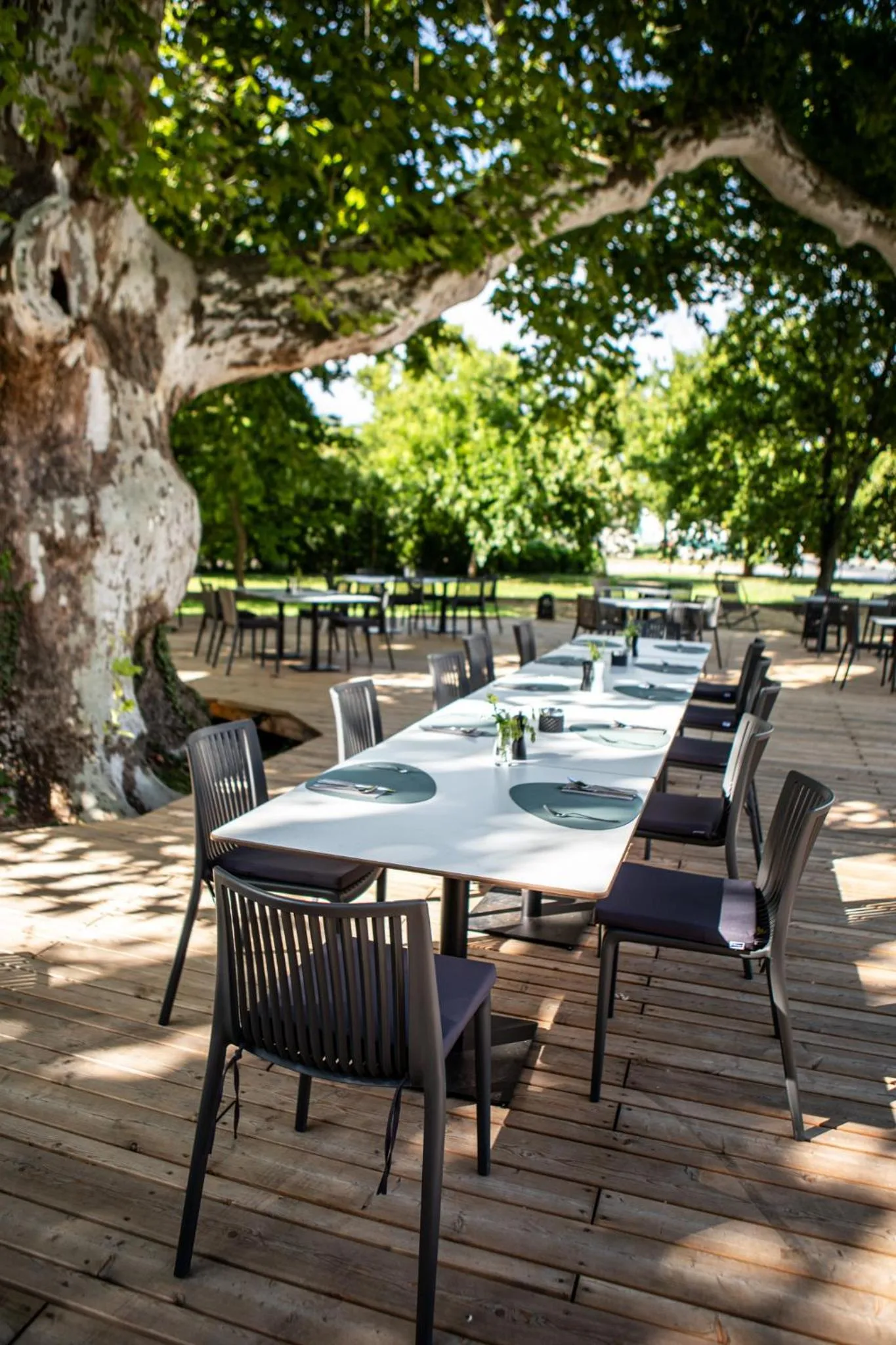 Restaurant/places to eat in Hotel Restaurant Joseph