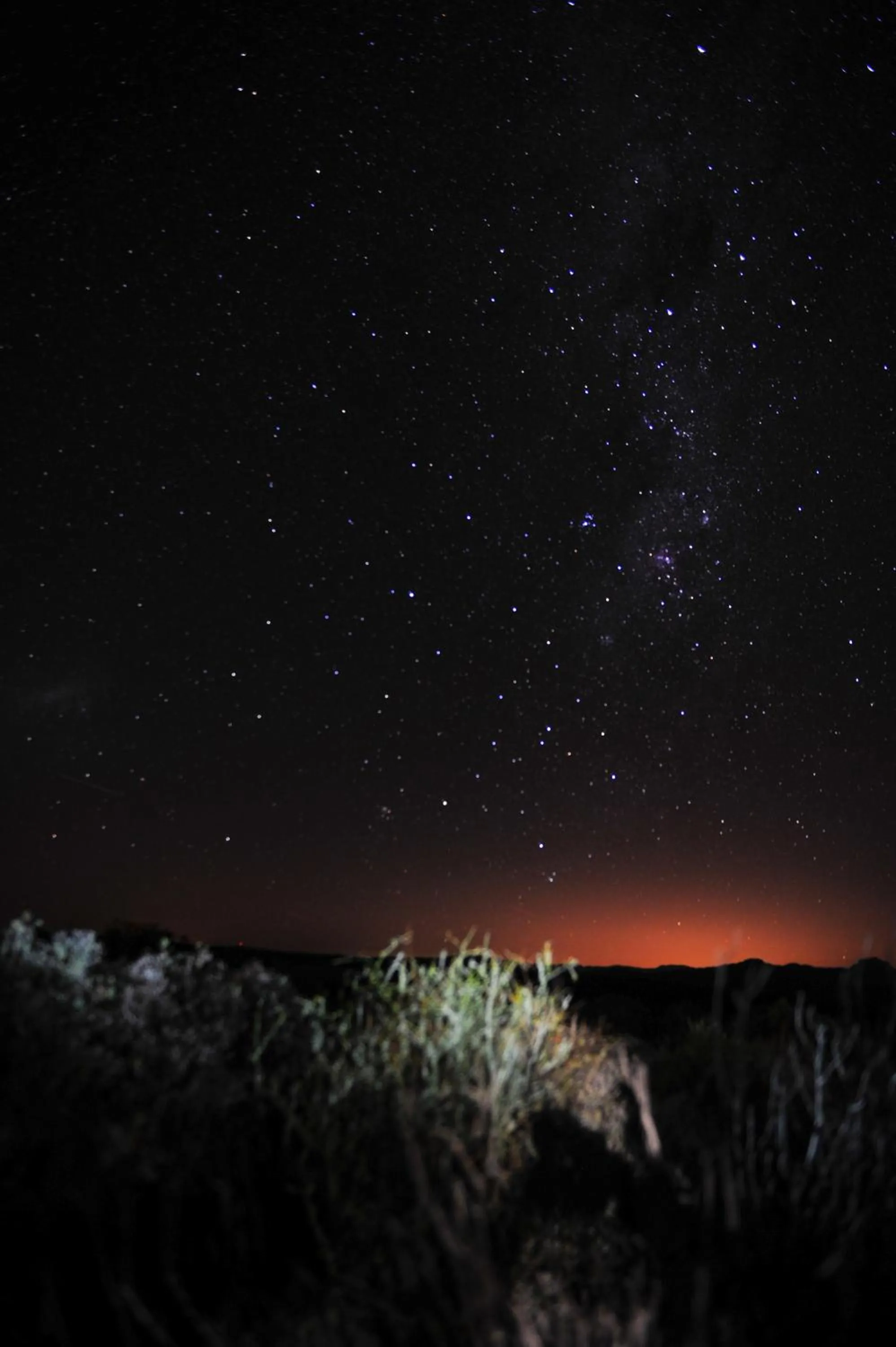 Activities in Kagga Kamma Eco Lodge & Spa