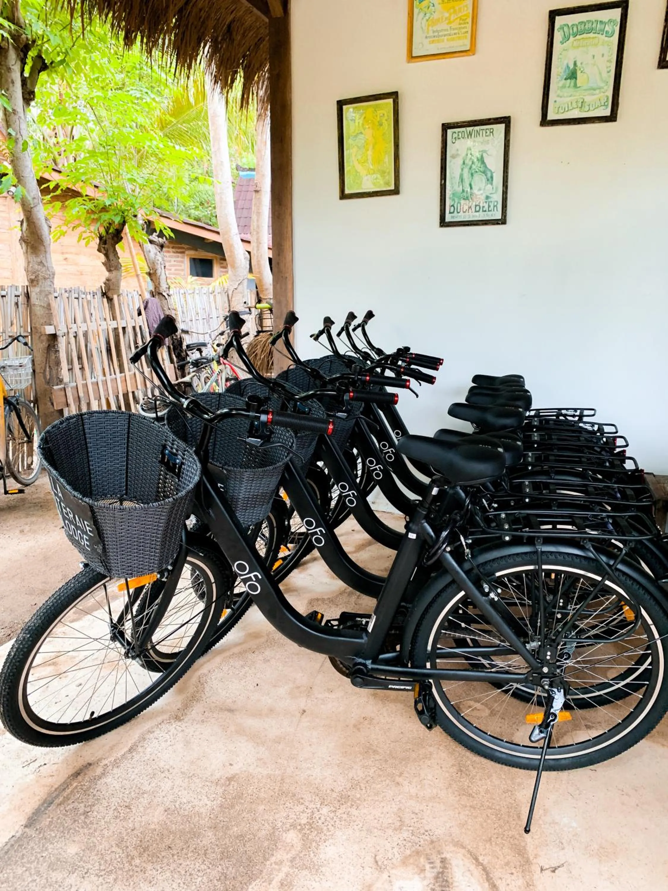 Cycling in La Cocoteraie Ecolodge - Luxury Glamping Tents