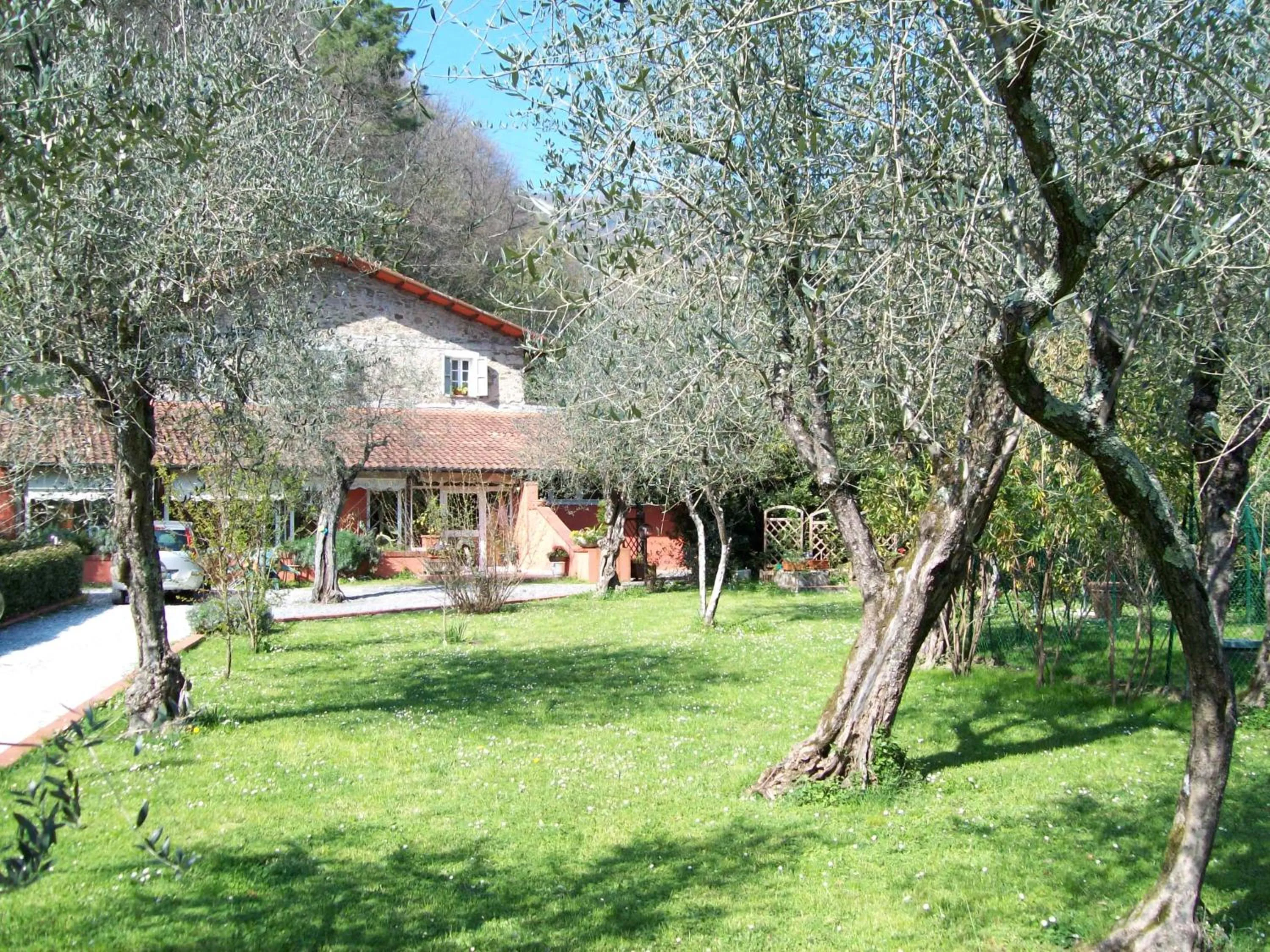Gli Ulivi Bed & breakfast