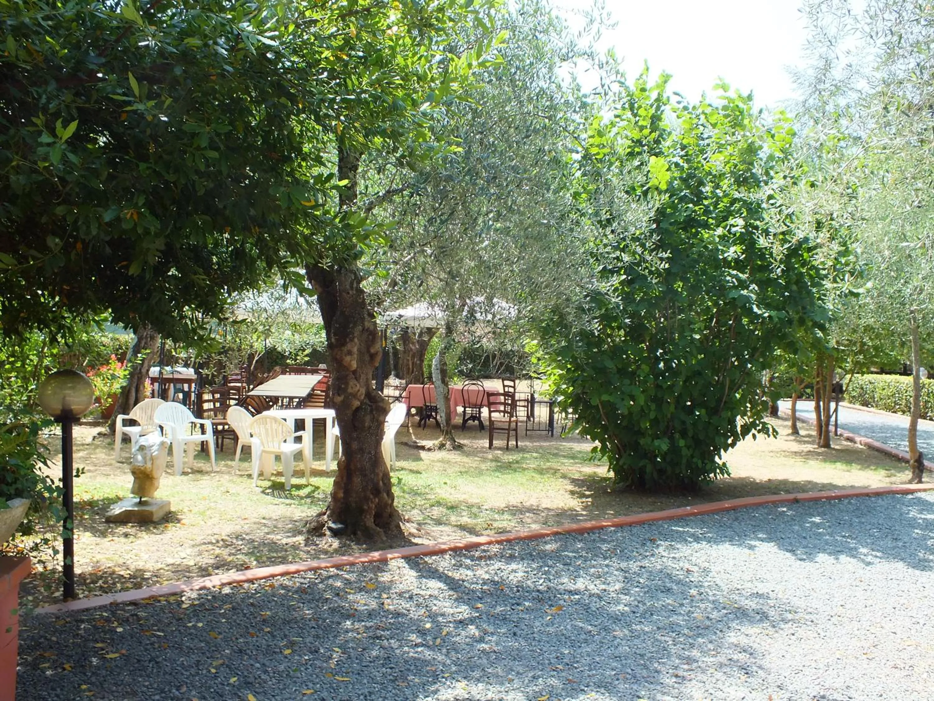 Gli Ulivi Bed & breakfast