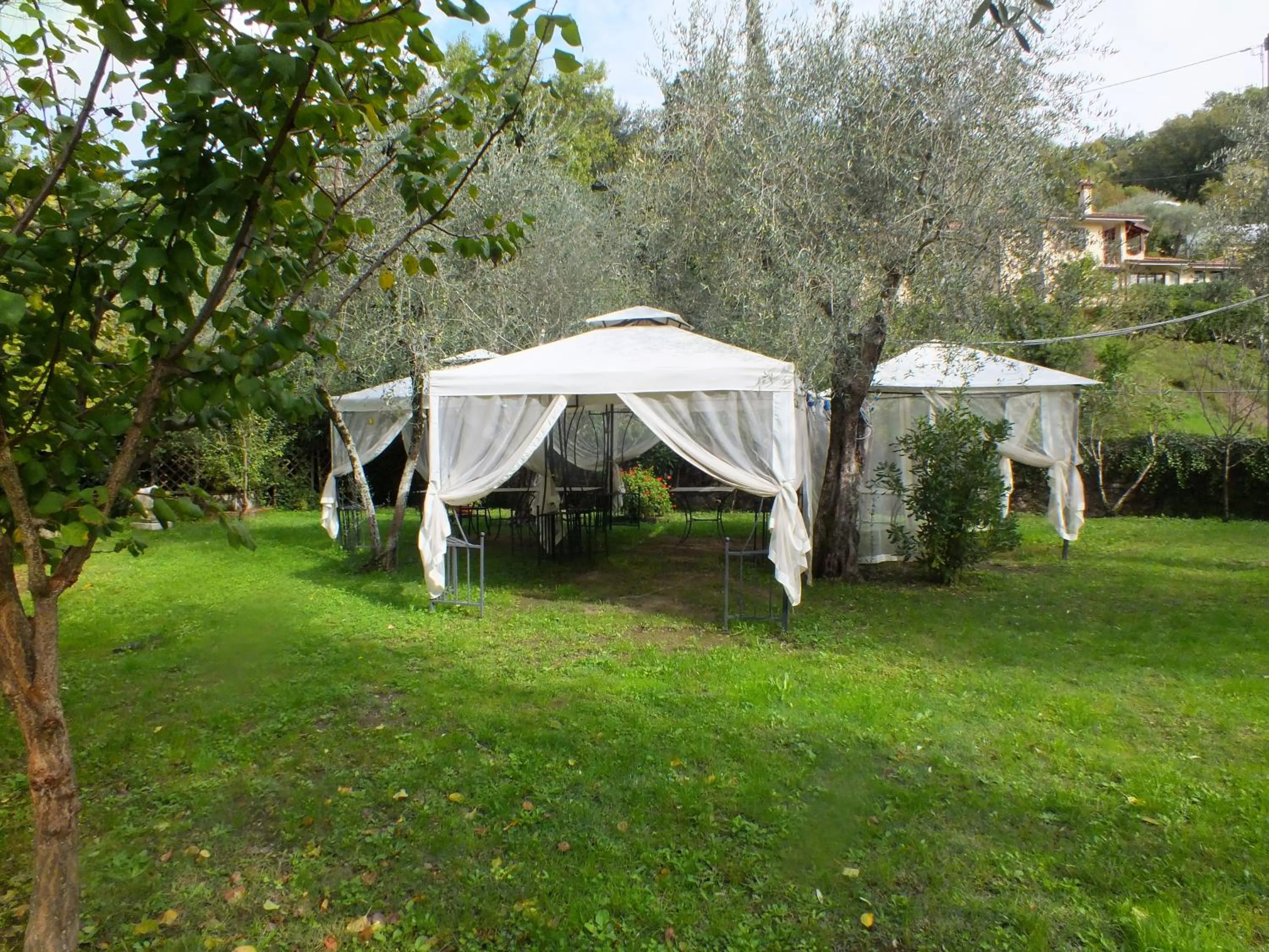 Gli Ulivi Bed & breakfast