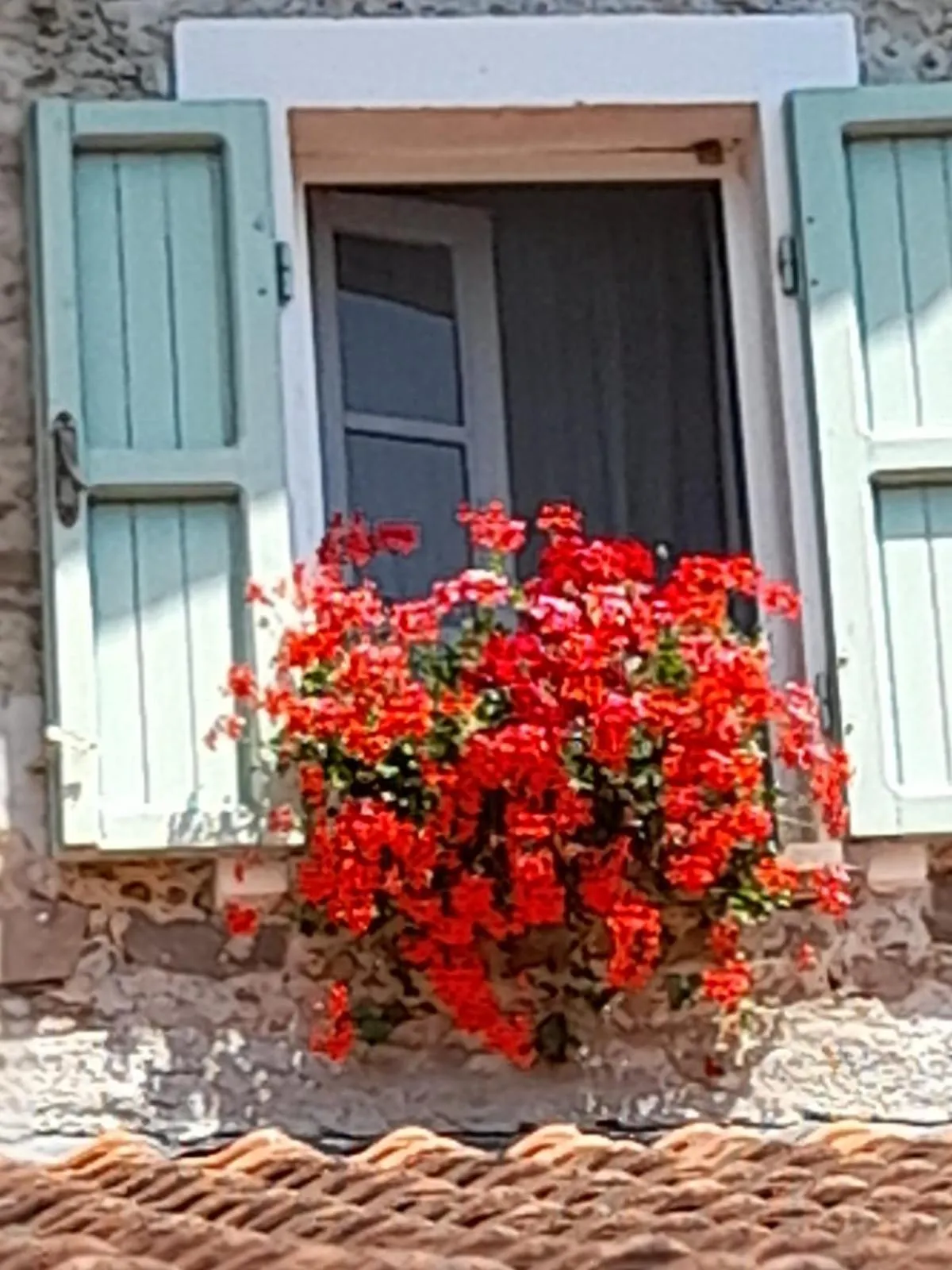 Gli Ulivi Bed & breakfast