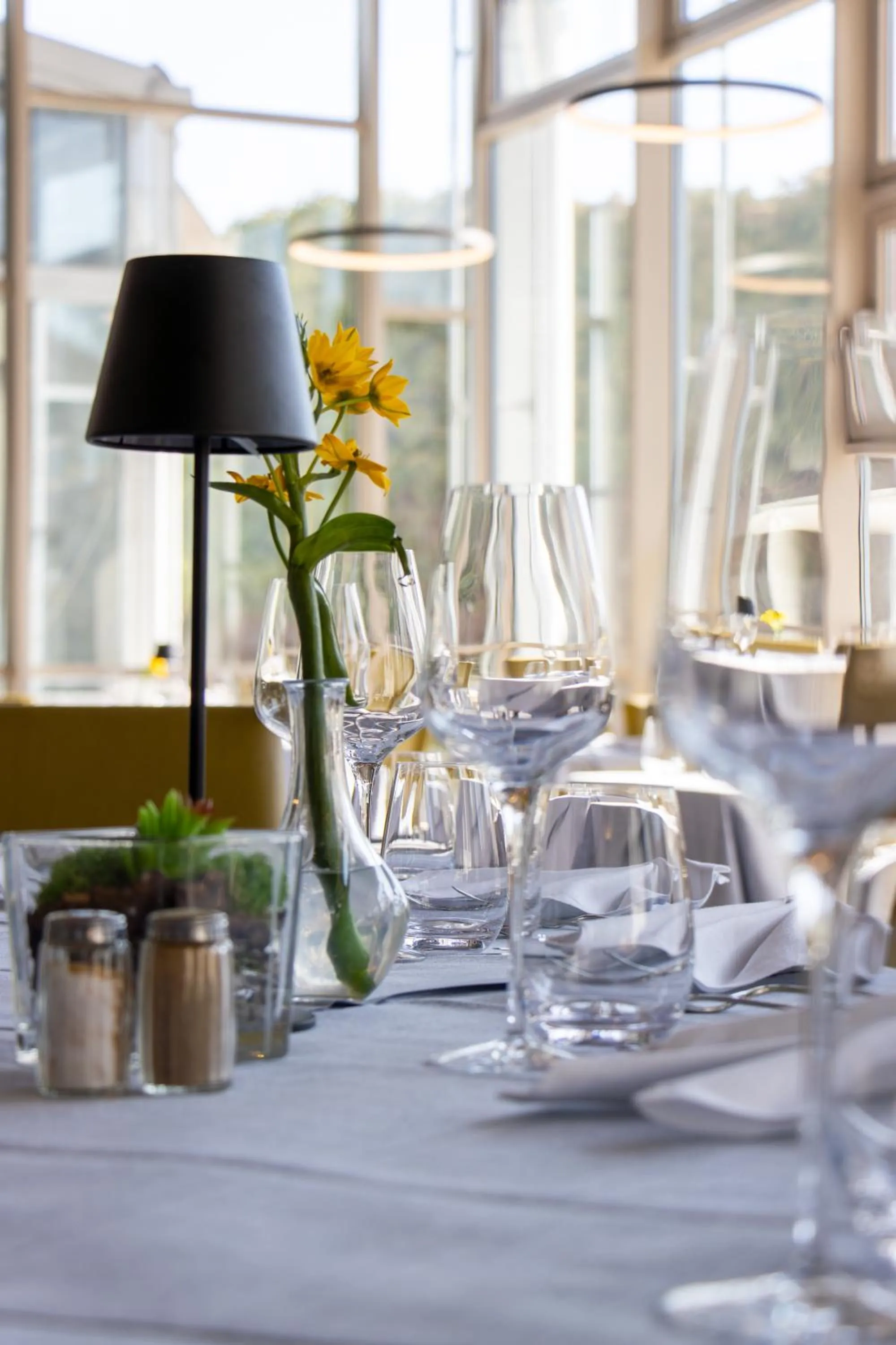 Restaurant/places to eat in Best Western Plus Palatin Kongresshotel