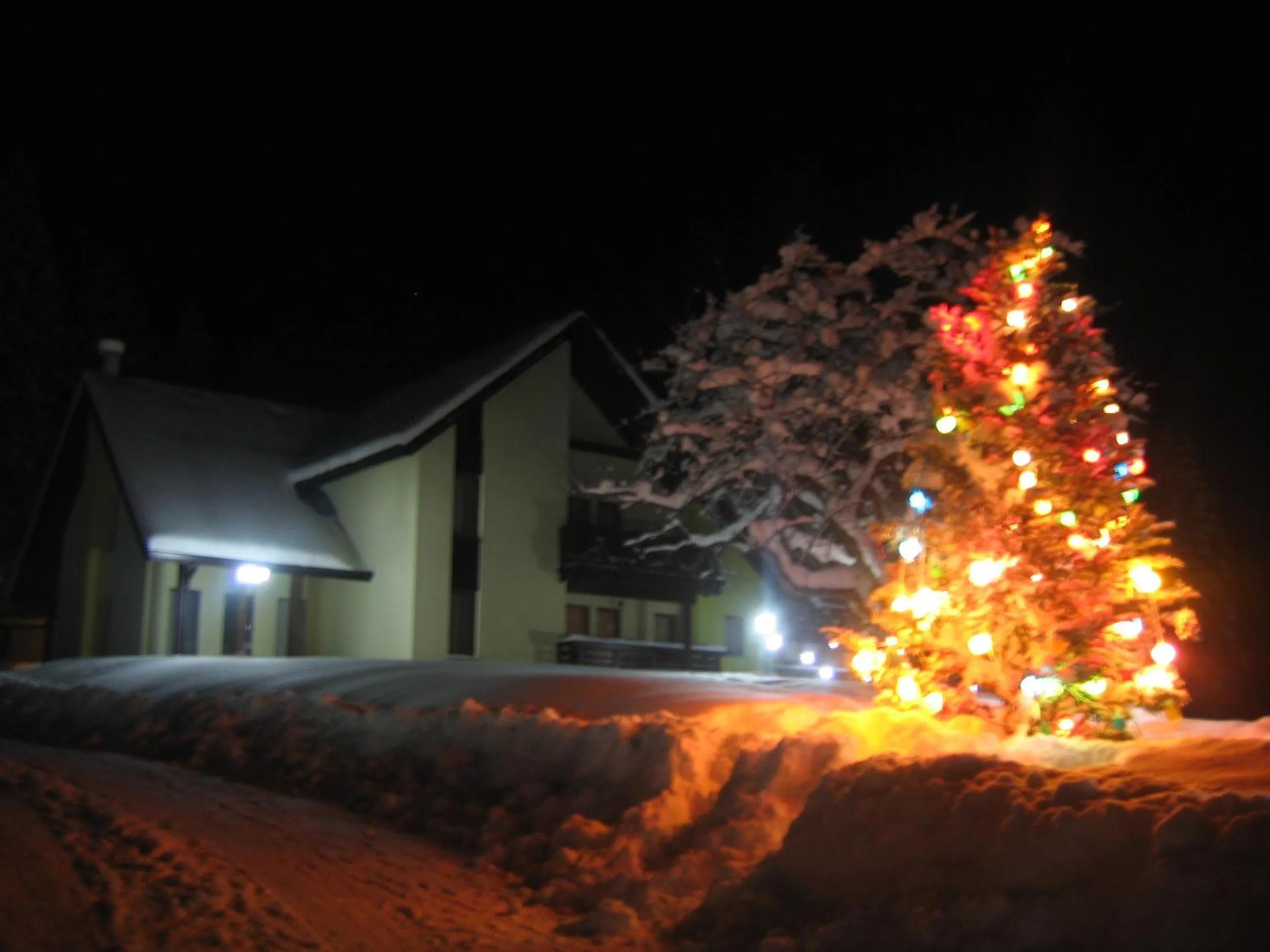 Property building in Complex Turistic Bucovina