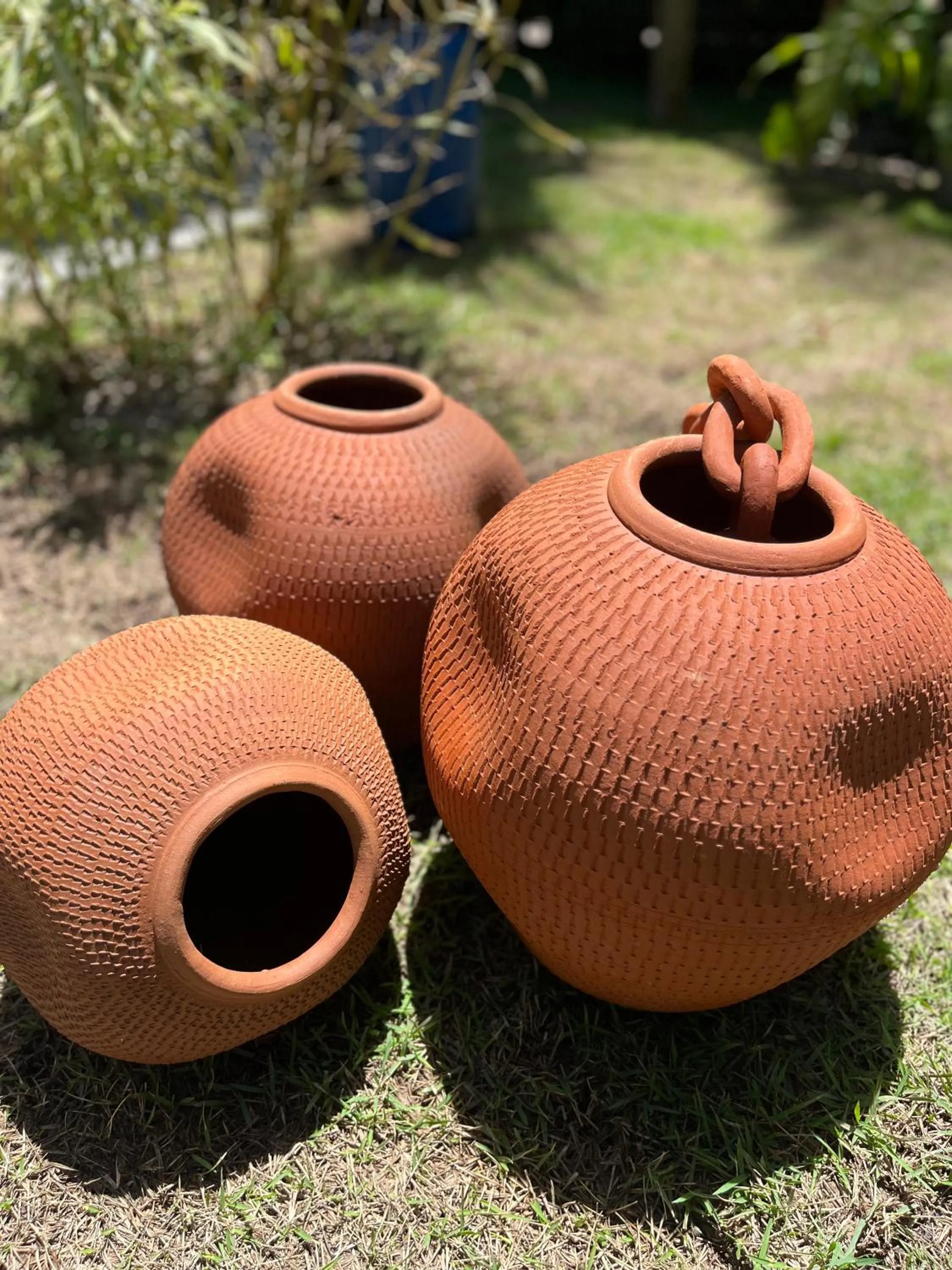 Garden in Pousada Vilarejo