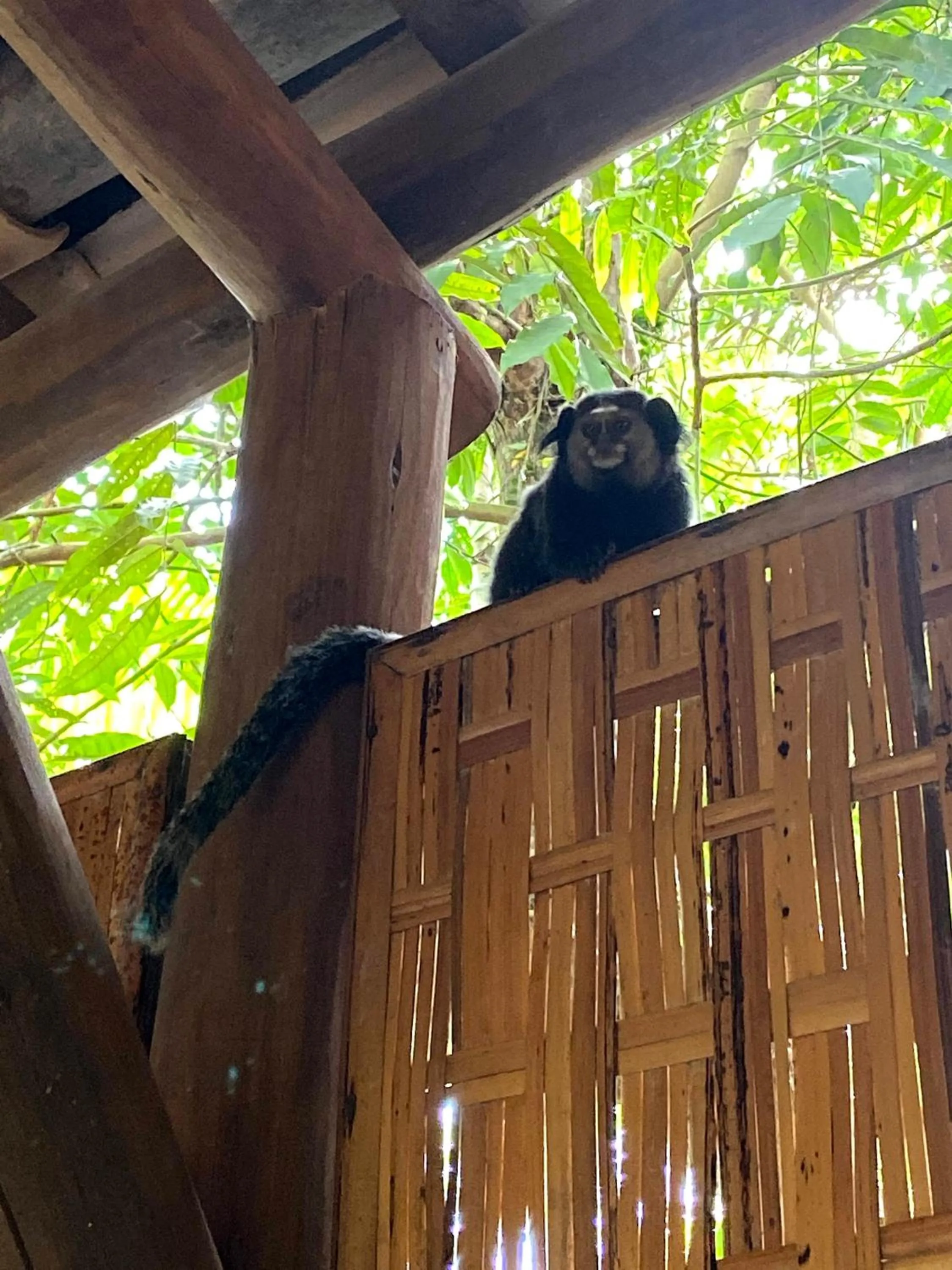 Natural landscape in Pousada Vilarejo