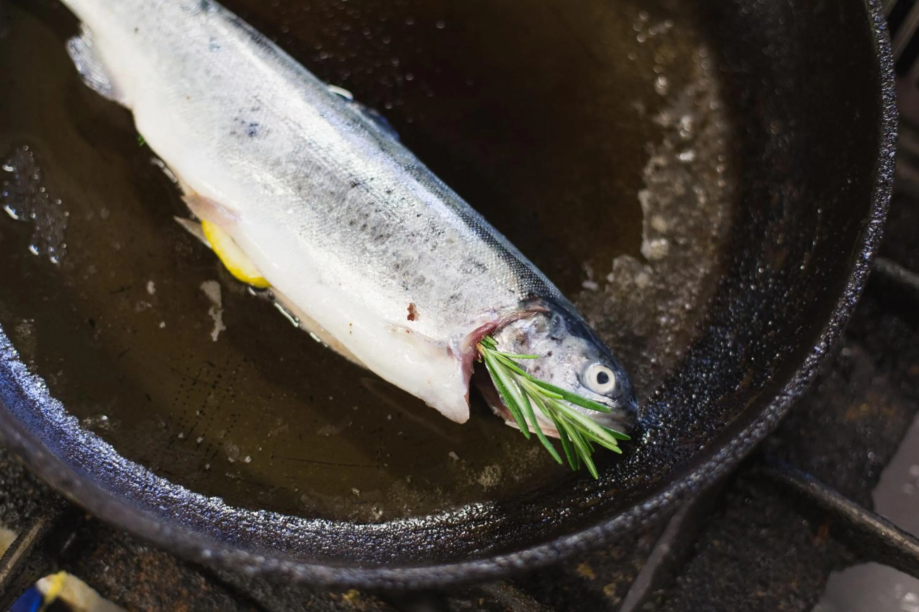 Restaurant/places to eat in Altwernigeröder Apparthotel