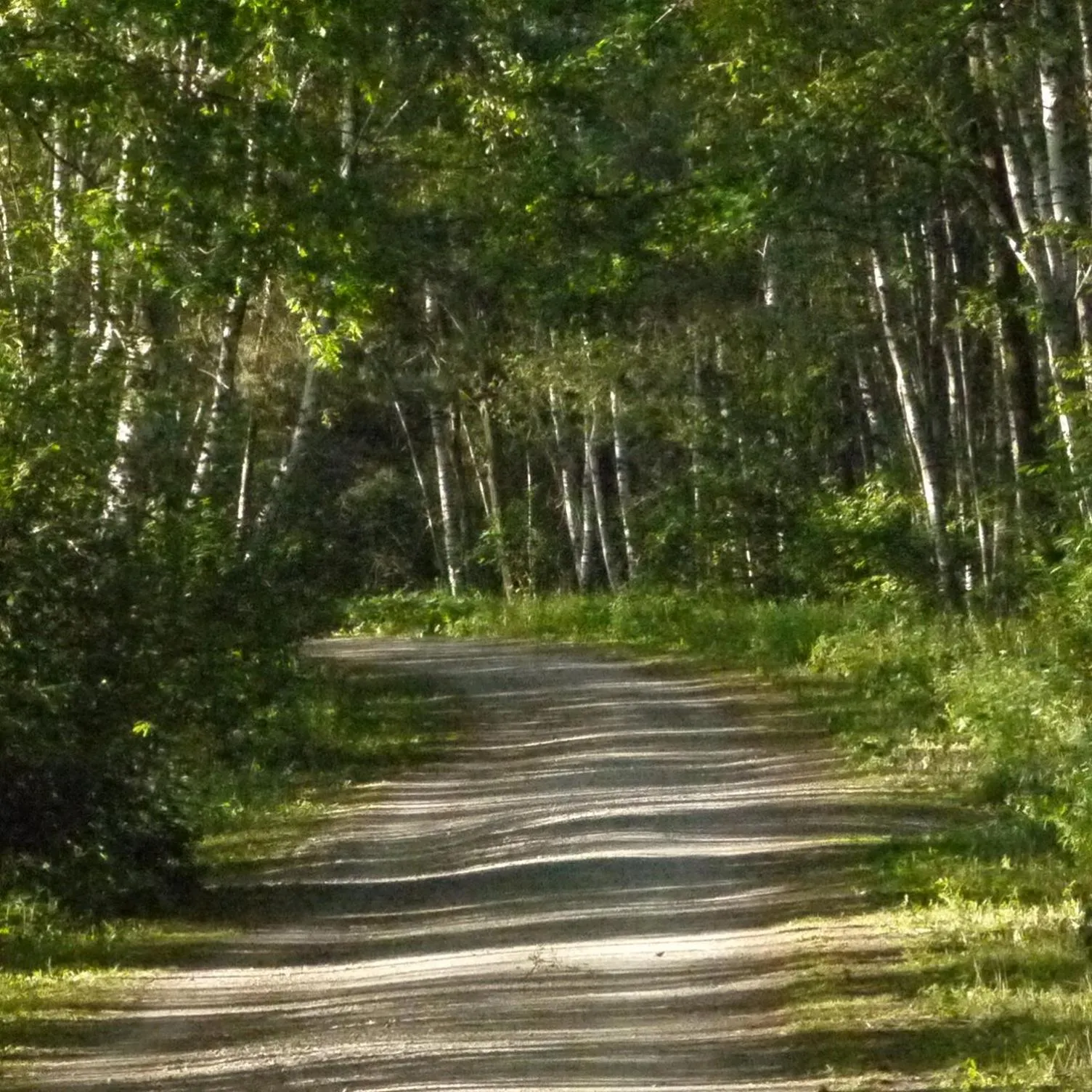 Nearby landmark in Hotel und Gästehaus Will
