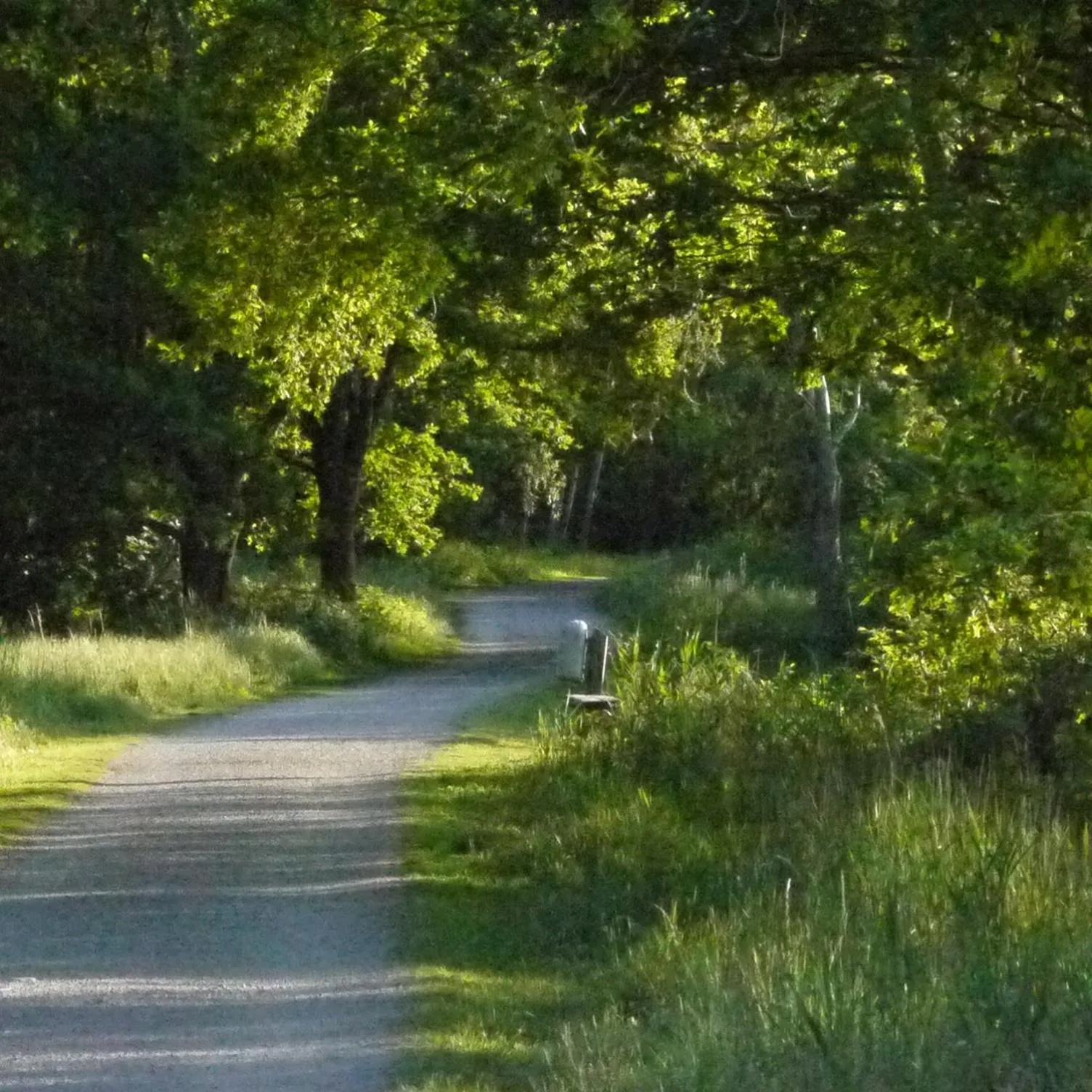 Nearby landmark in Hotel und Gästehaus Will