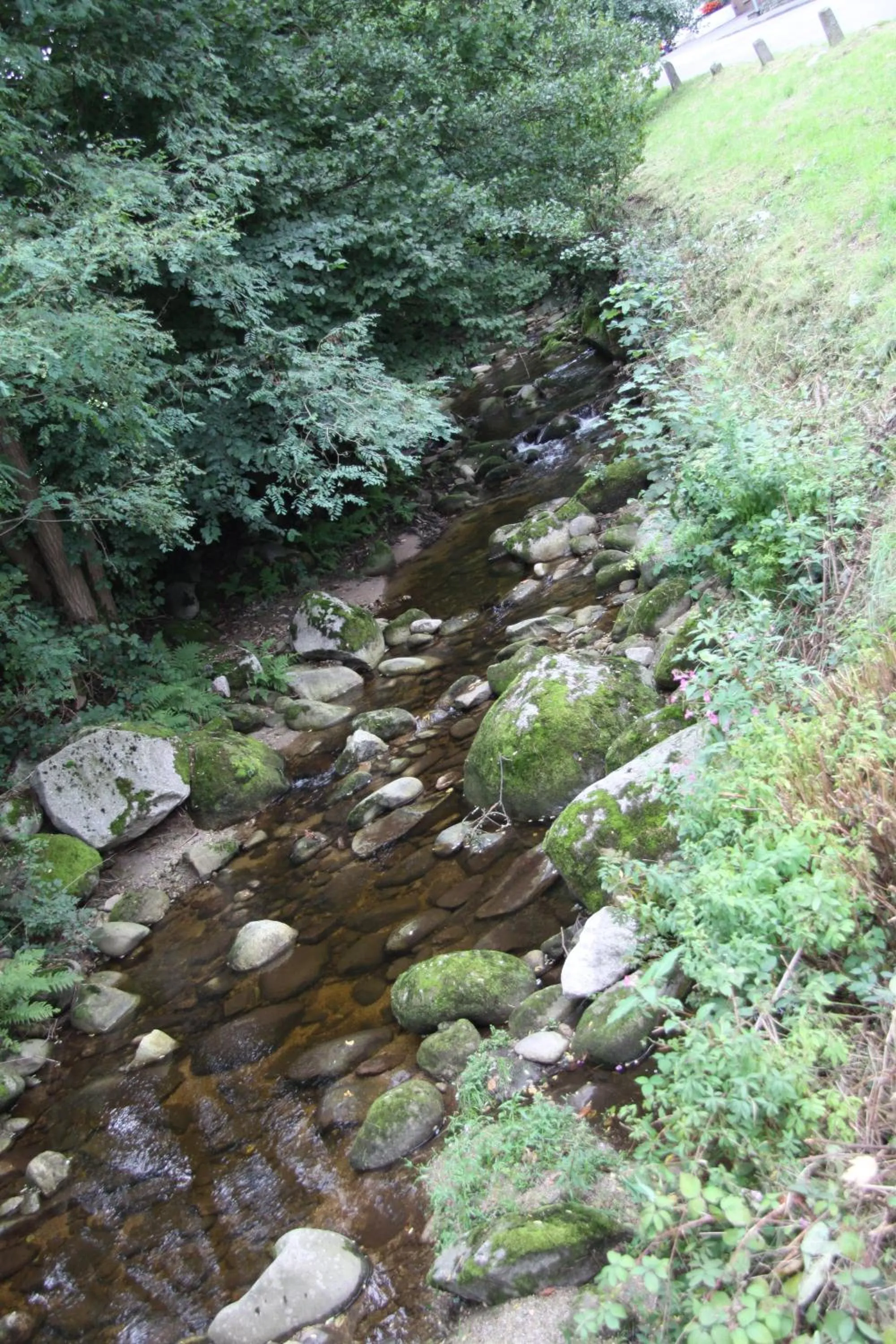 Area and facilities in Gästehaus Alexanna