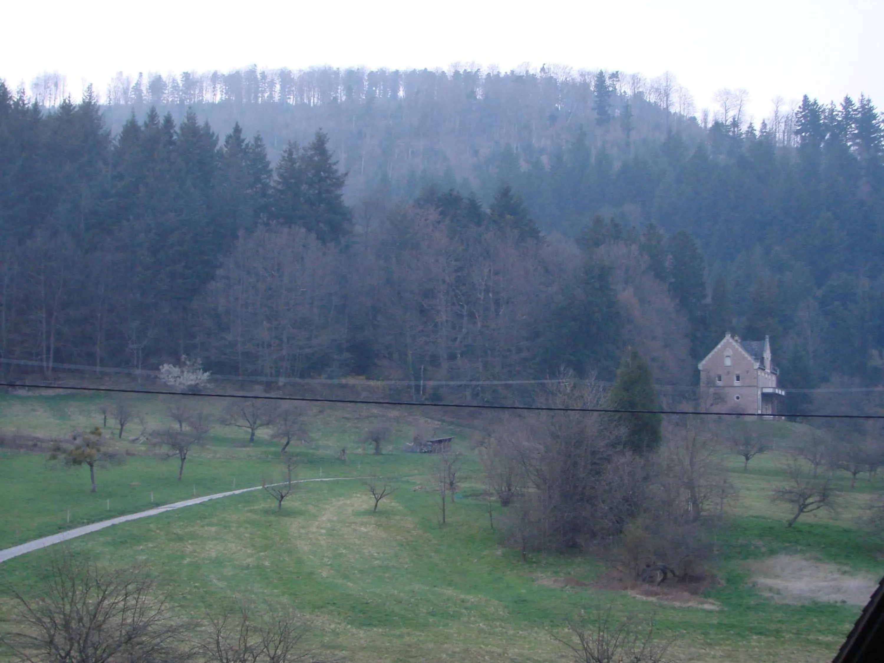 Area and facilities in Gästehaus Alexanna