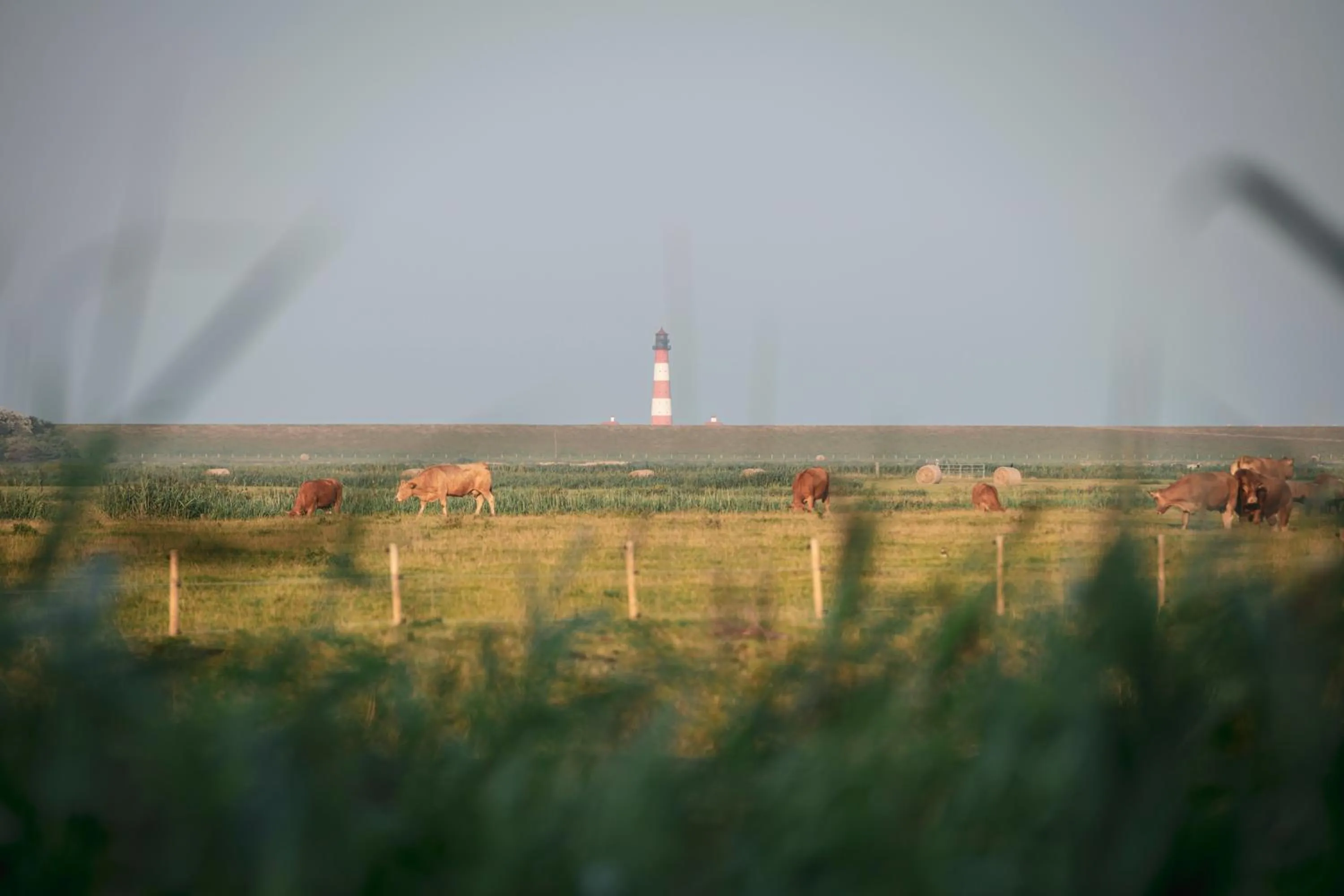 View (from property/room) in Kirchspielkrug Landhotel & Restaurant