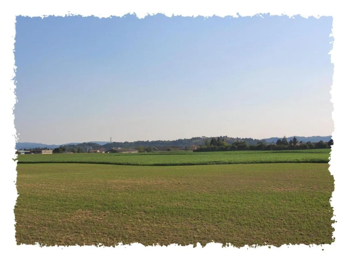 View (from property/room) in Hotel Green castellani