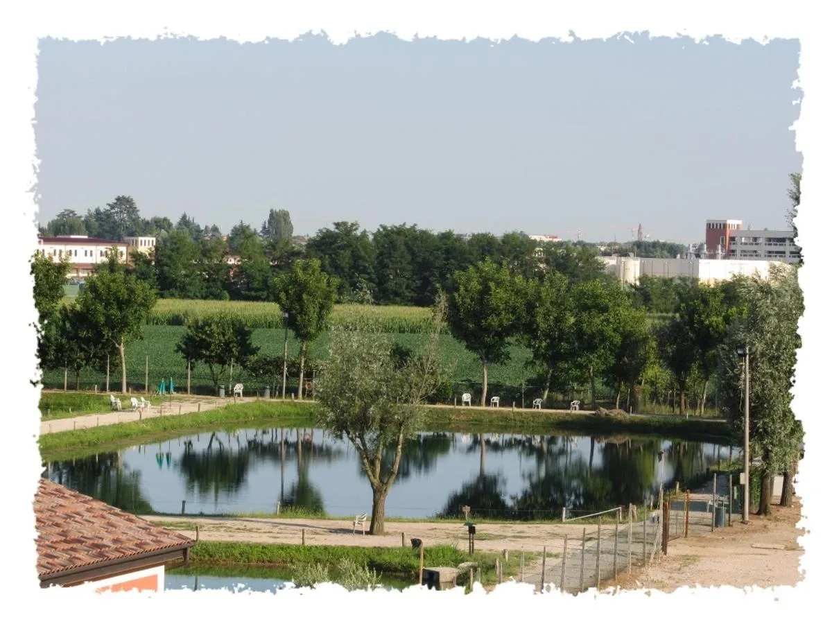 View (from property/room) in Hotel Green castellani