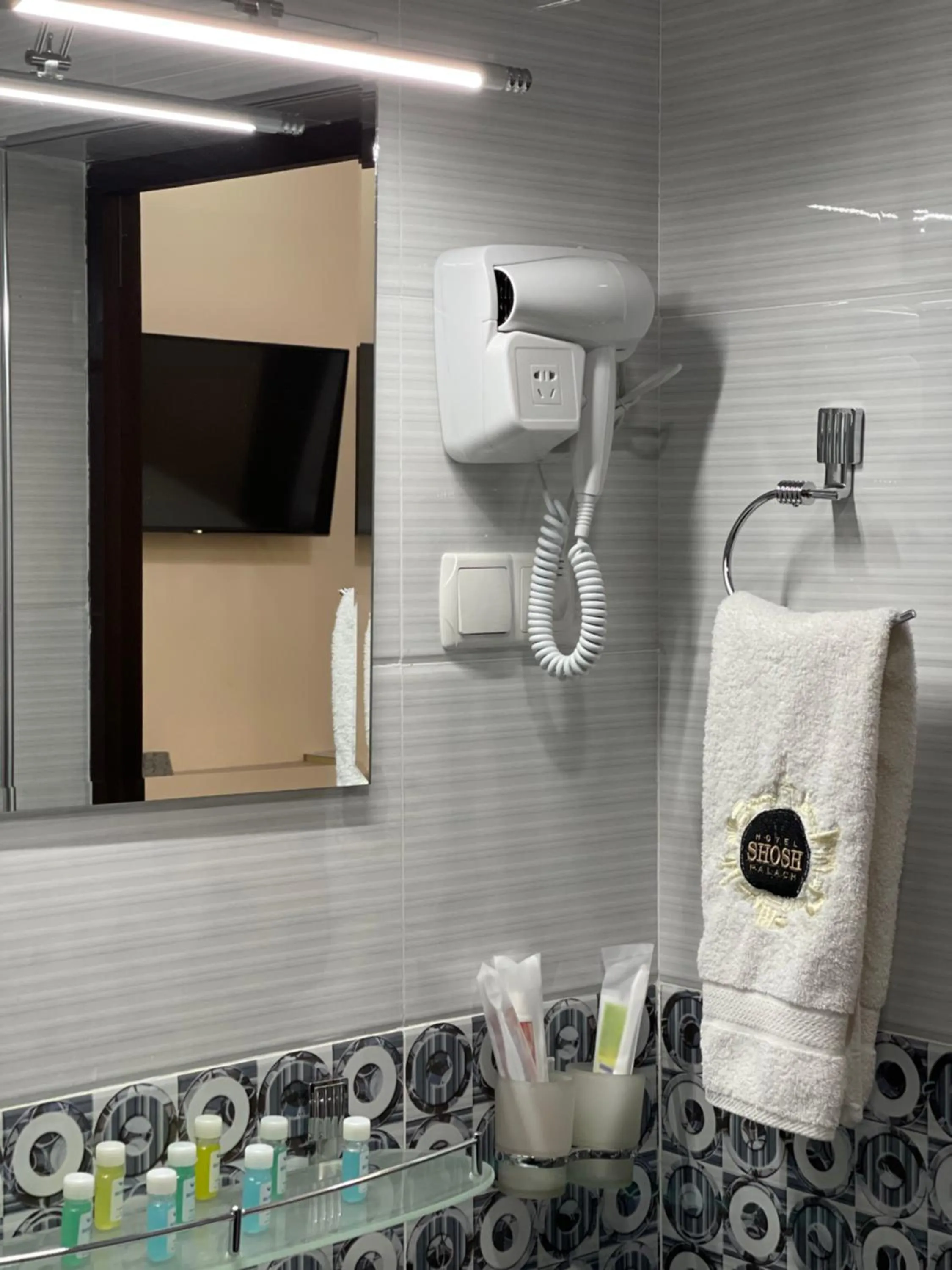 Bathroom in Shosh Palace