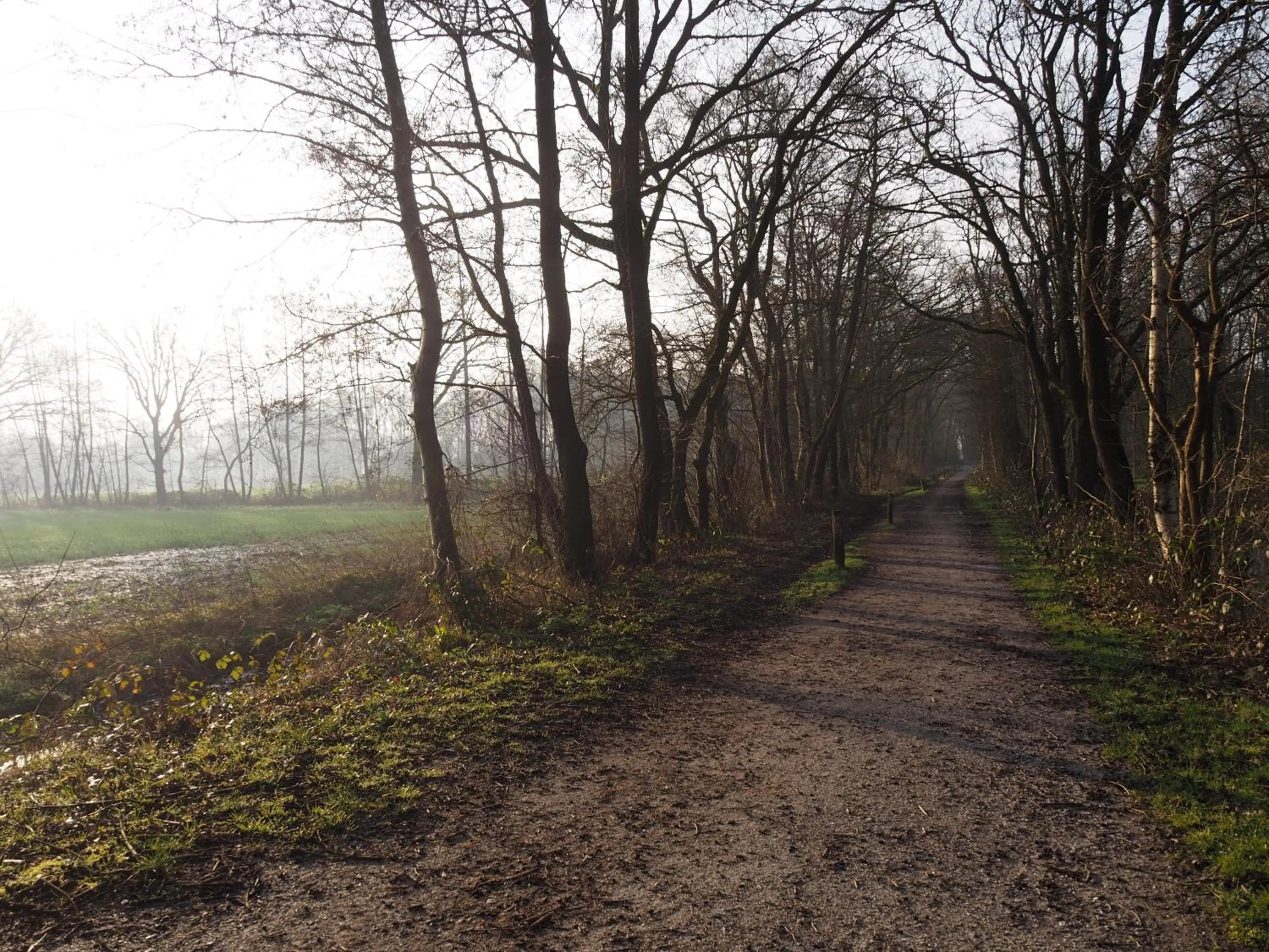 Neighbourhood in Bed & Brochje Burgum
