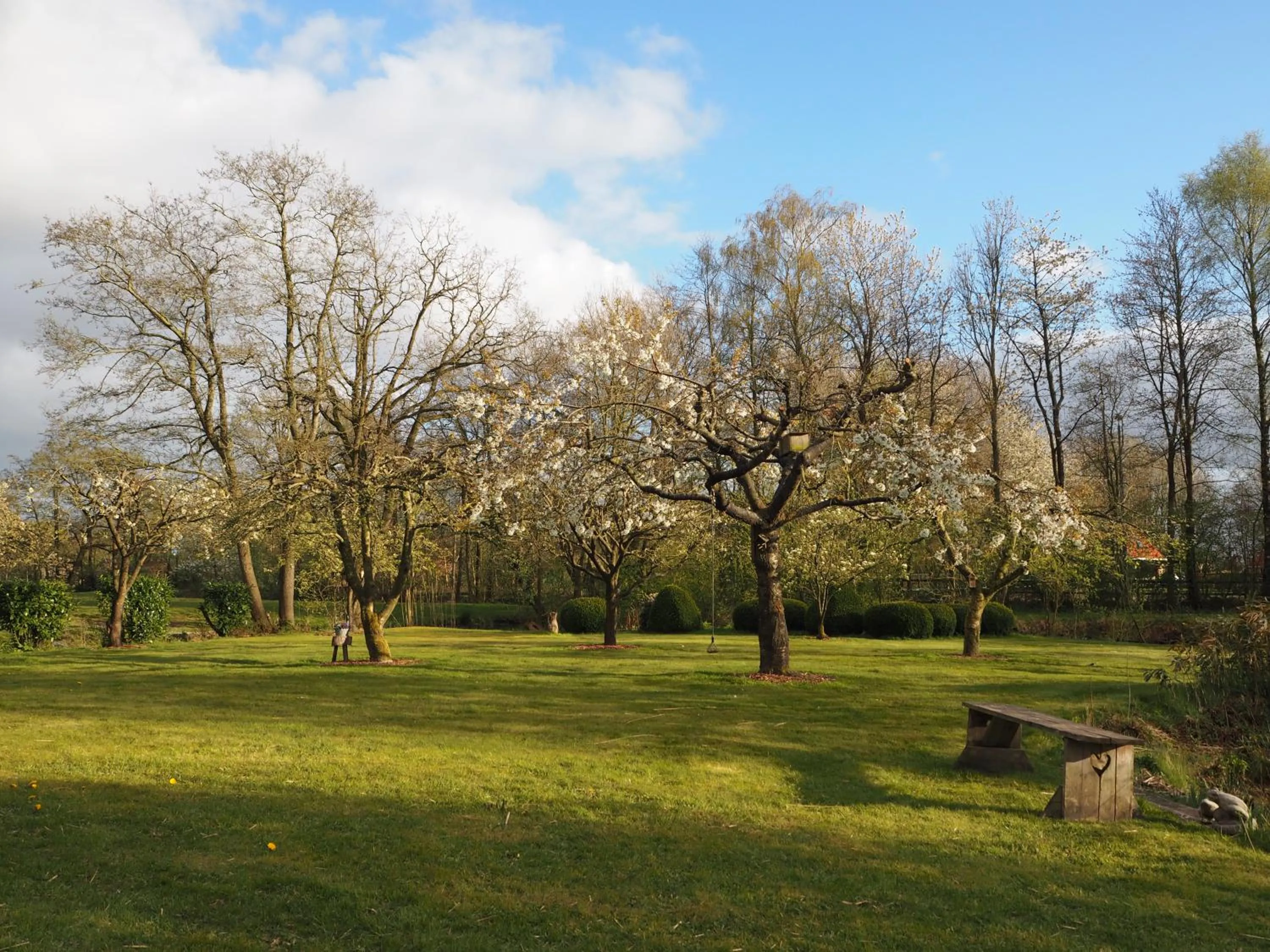 Area and facilities in Bed & Brochje Burgum