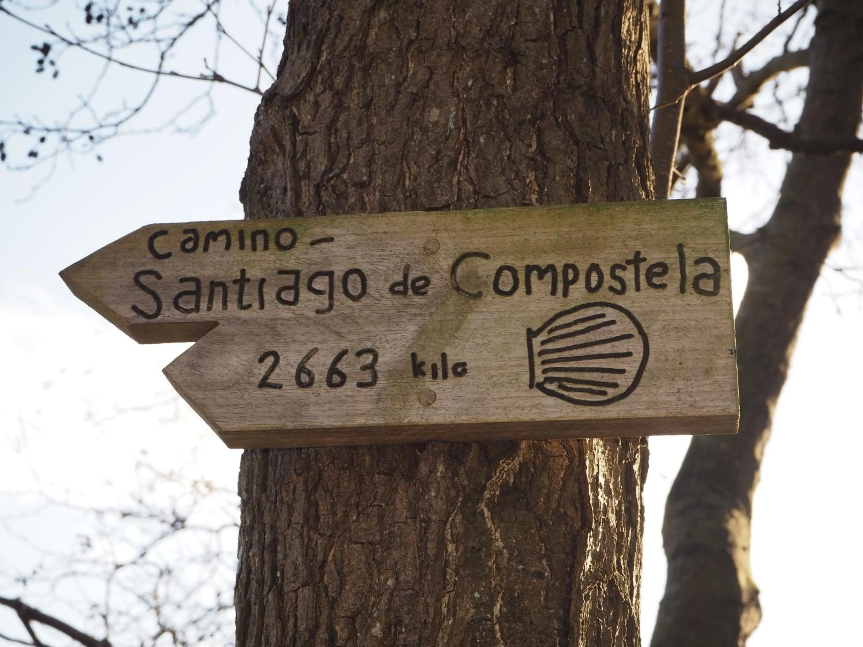 Hiking in Bed & Brochje Burgum