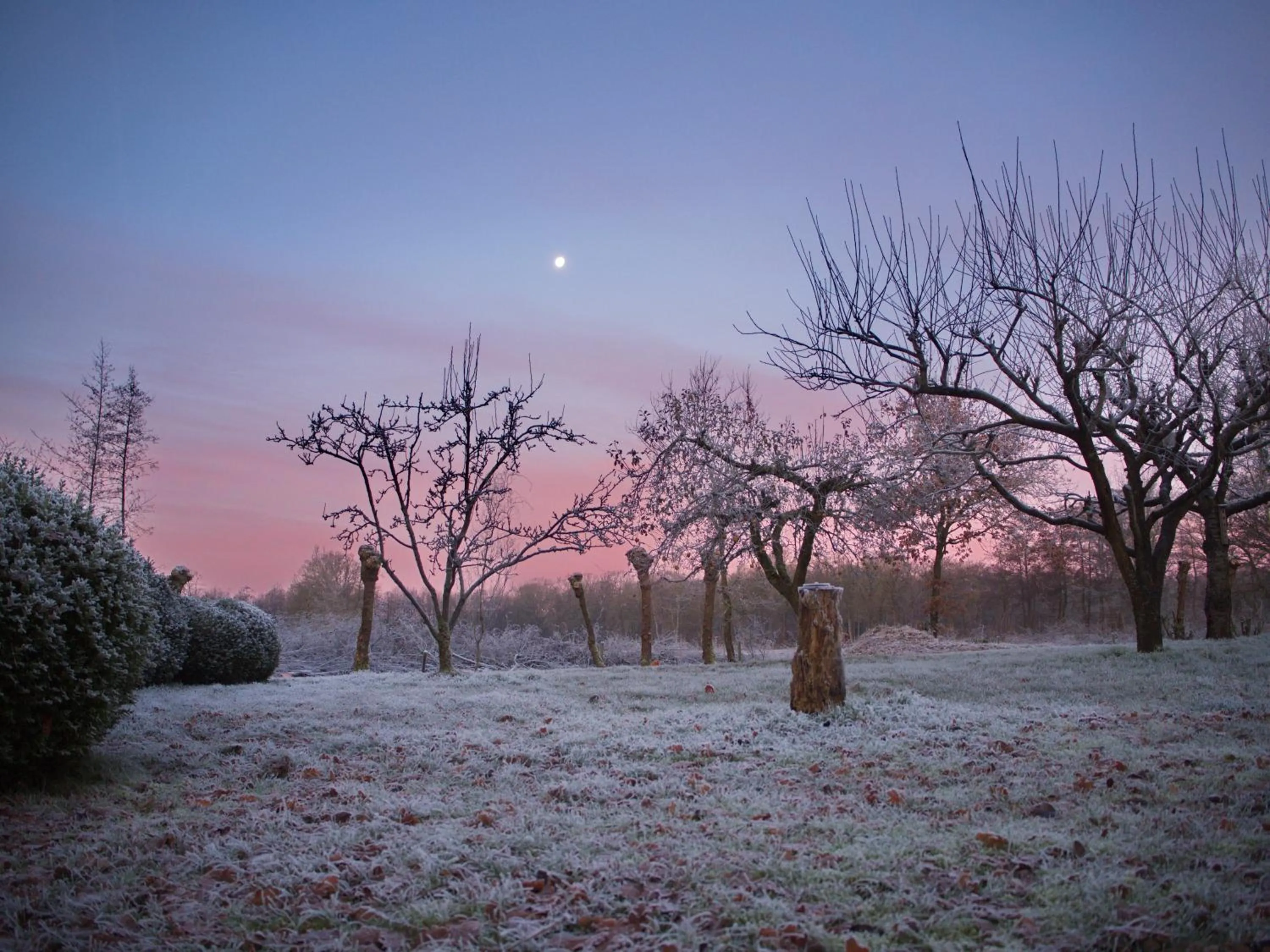 View (from property/room) in Bed & Brochje Burgum