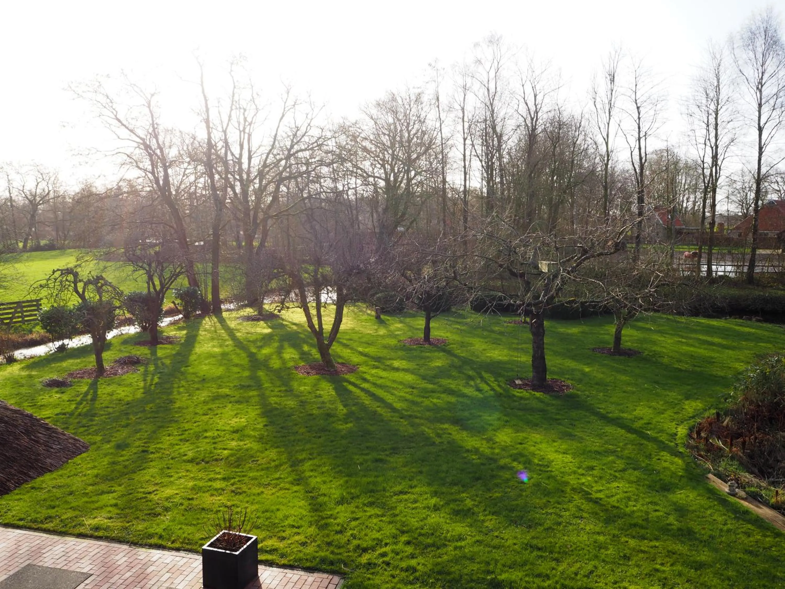 Garden view in Bed & Brochje Burgum