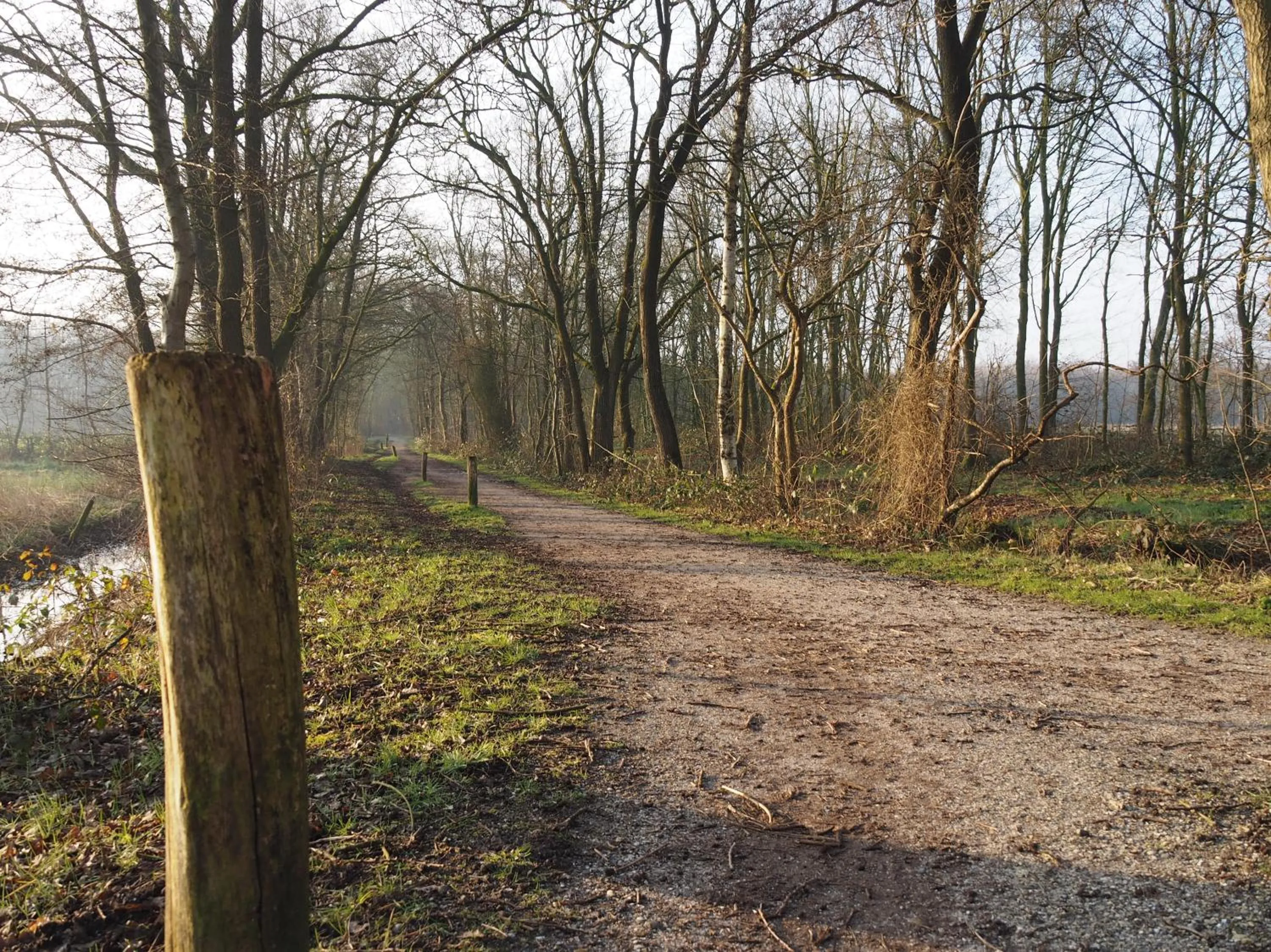Neighbourhood in Bed & Brochje Burgum