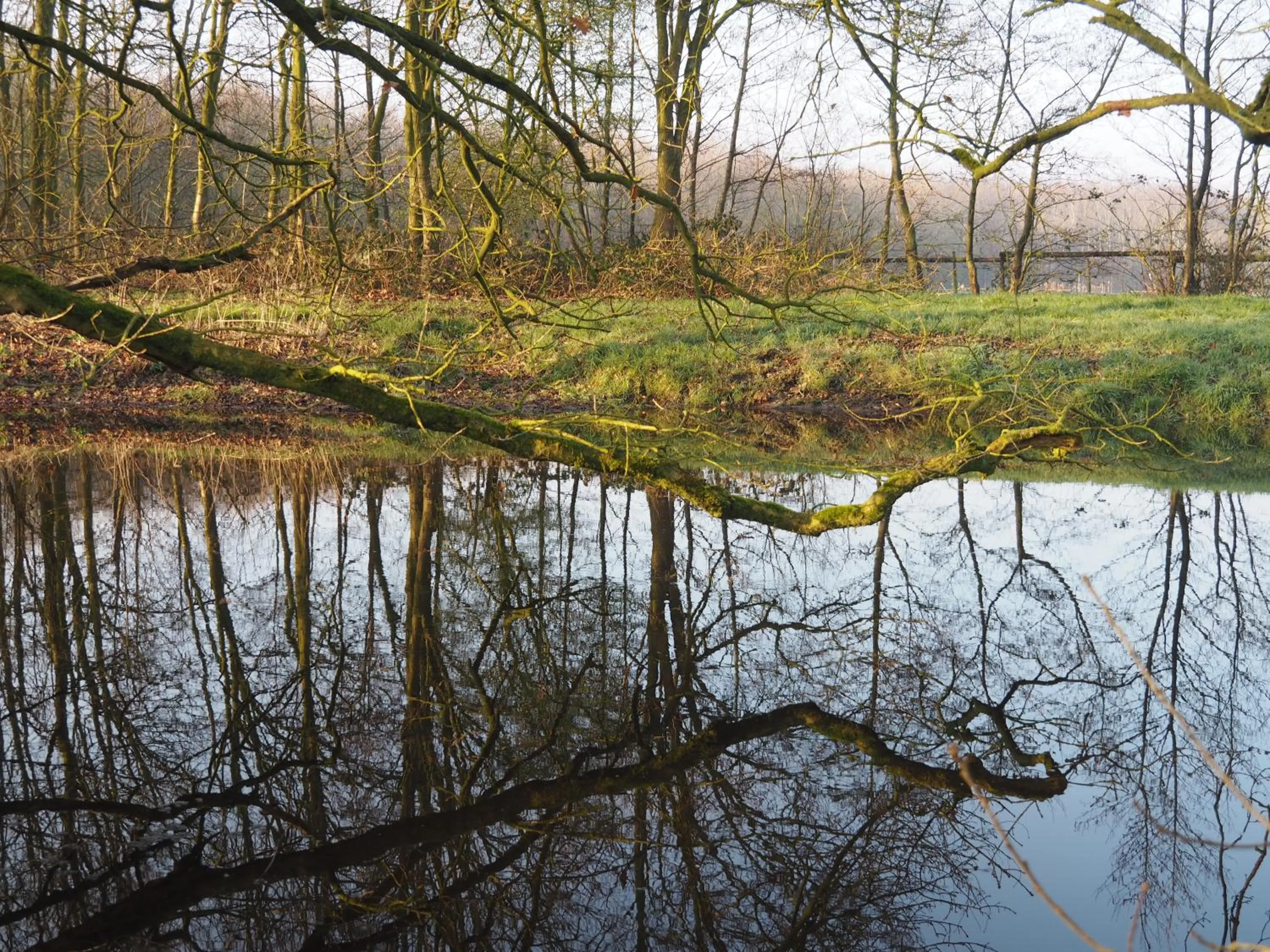 Neighbourhood in Bed & Brochje Burgum