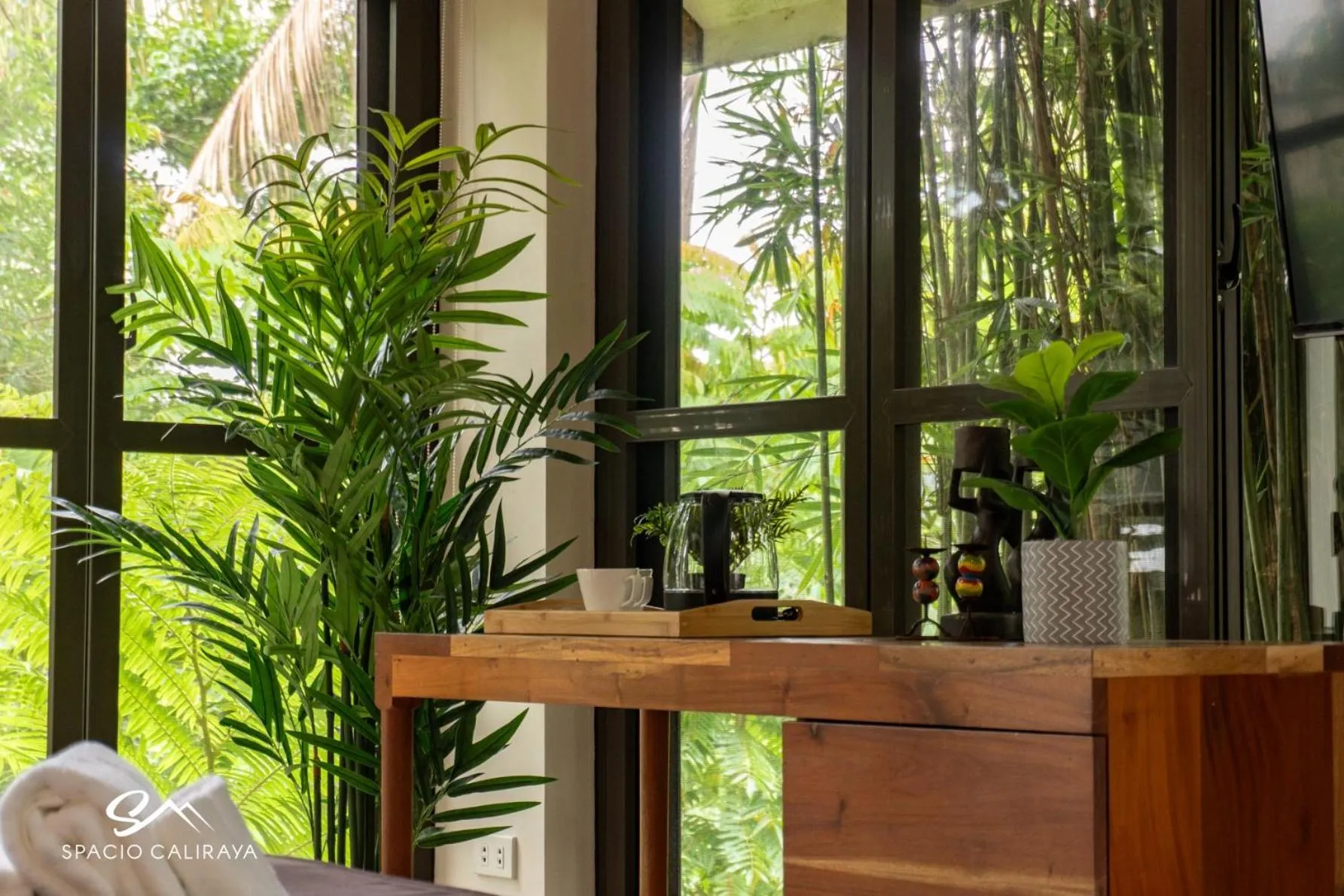 Natural landscape in Spacio Caliraya Bed & Breakfast