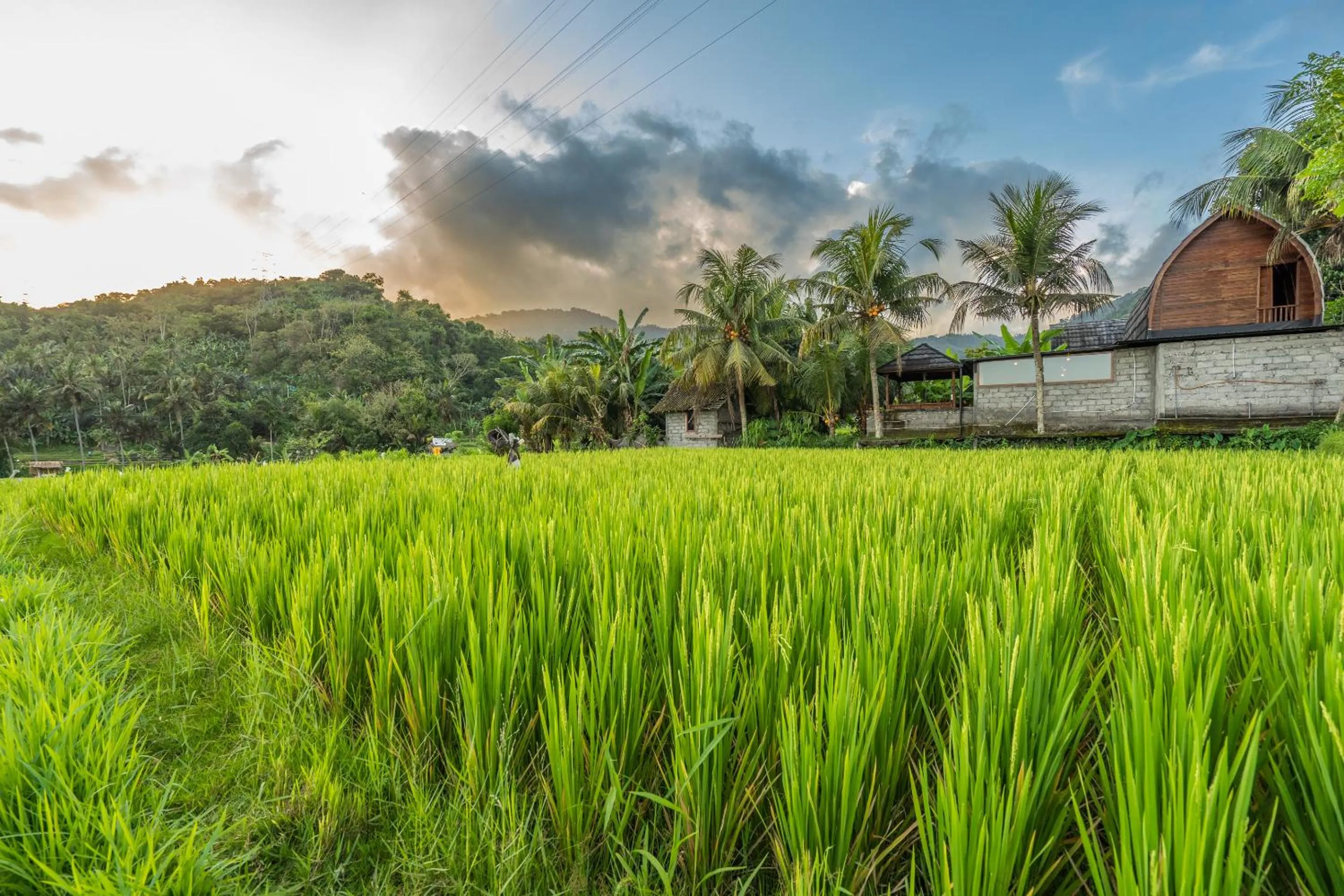 Natural landscape in Pondok Carik Villa Manggis