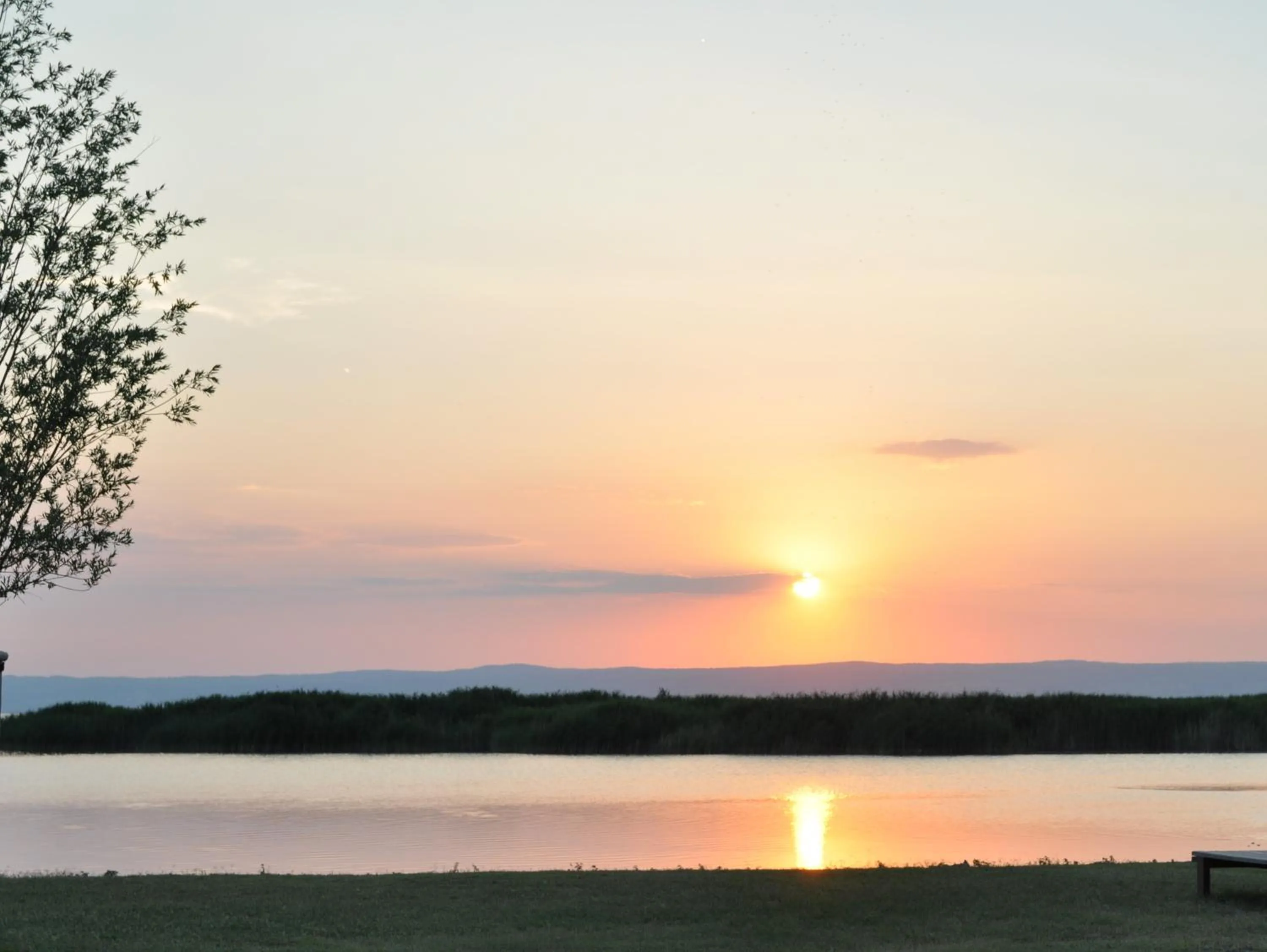 View (from property/room) in Seehotel Herlinde