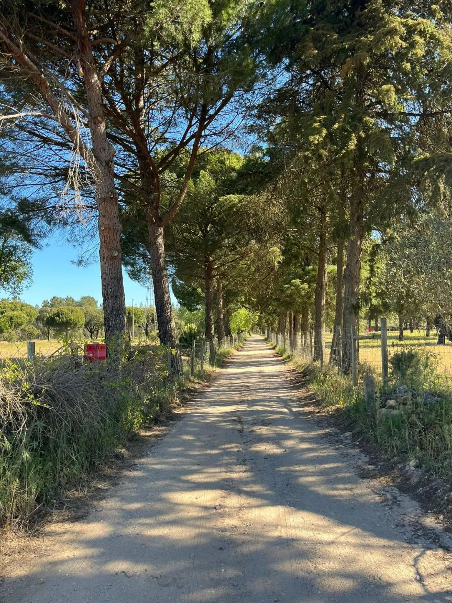 Hiking in AmendoeirasHouse-SustainableLiving