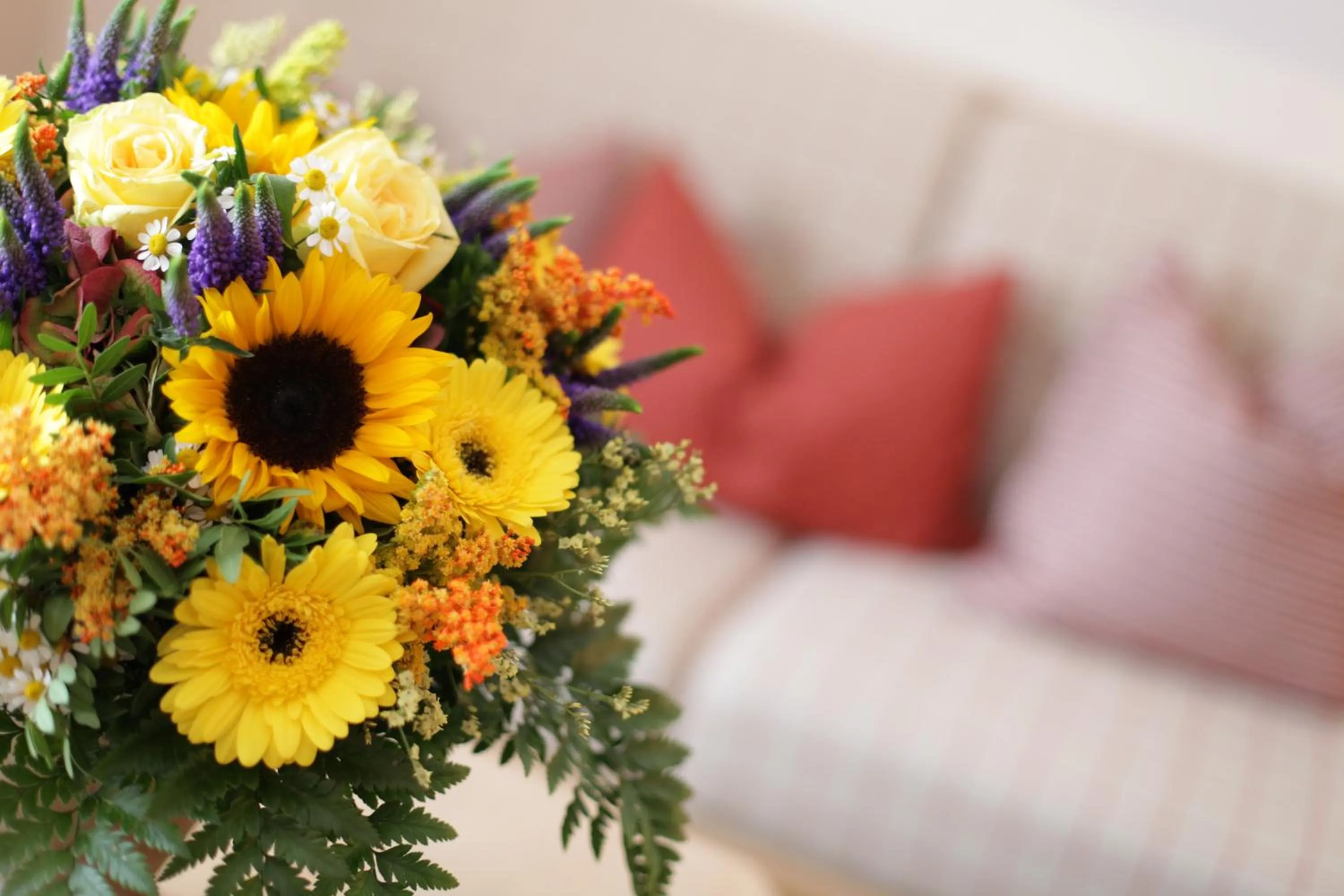 Other in Landidyll Hotel Zum Alten Schloss