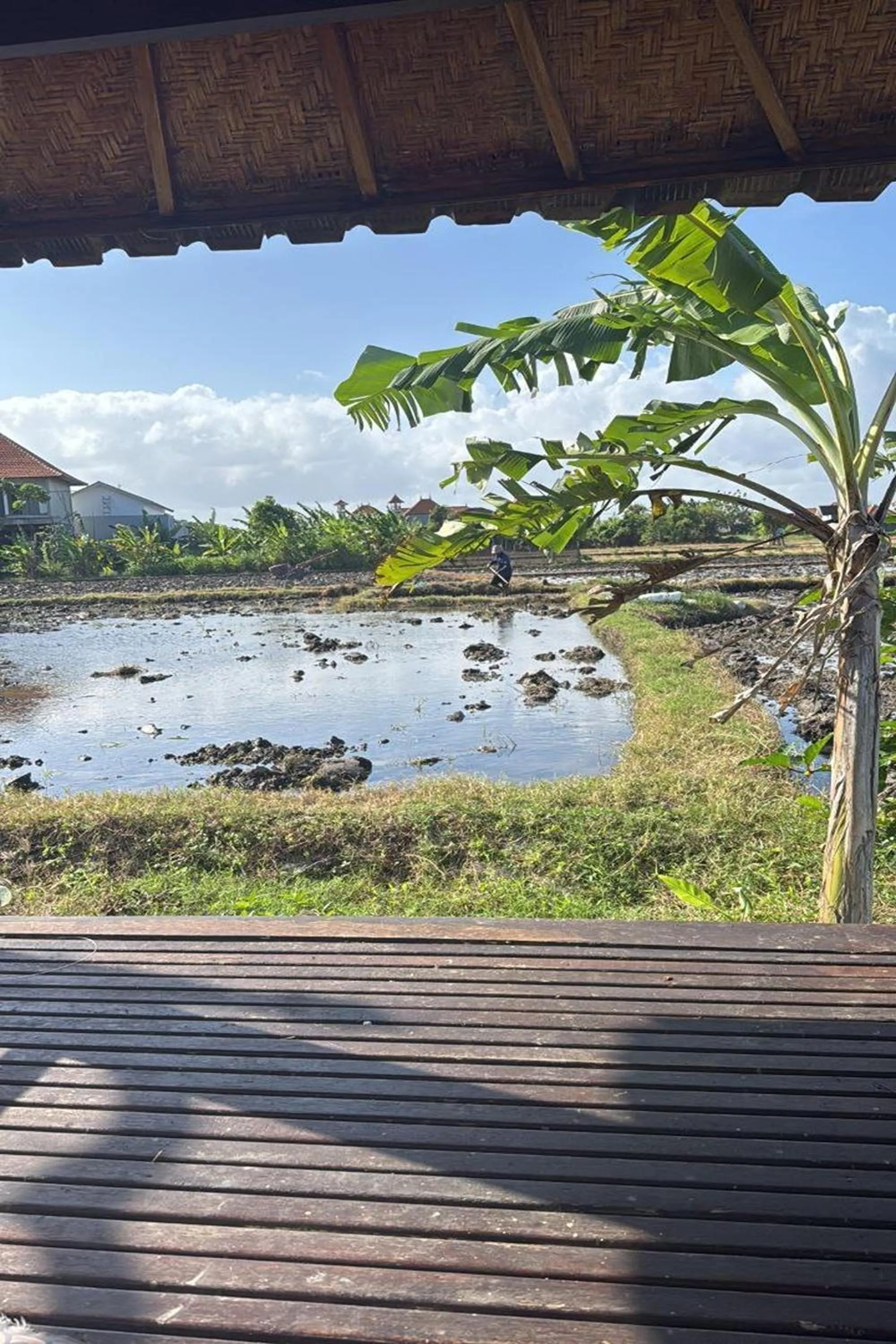 Day in Bali Eco Living Yoga Healing Meditation and Retreat Center