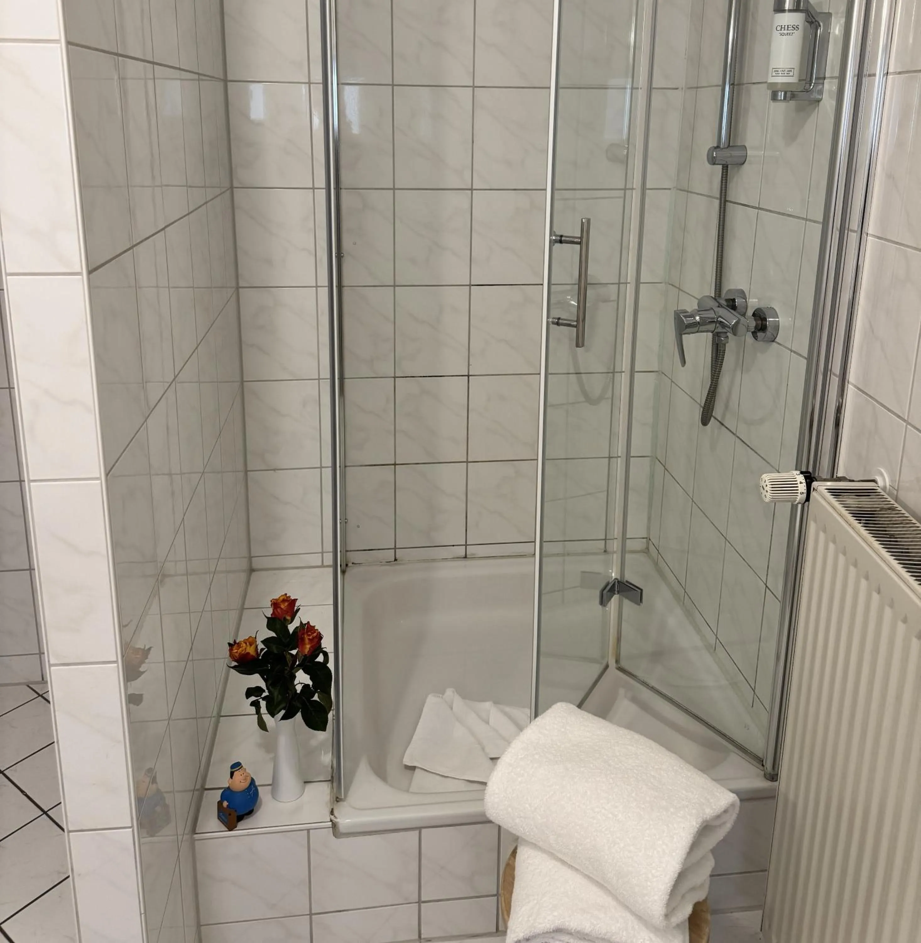 Shower in Hotel am Luisenplatz