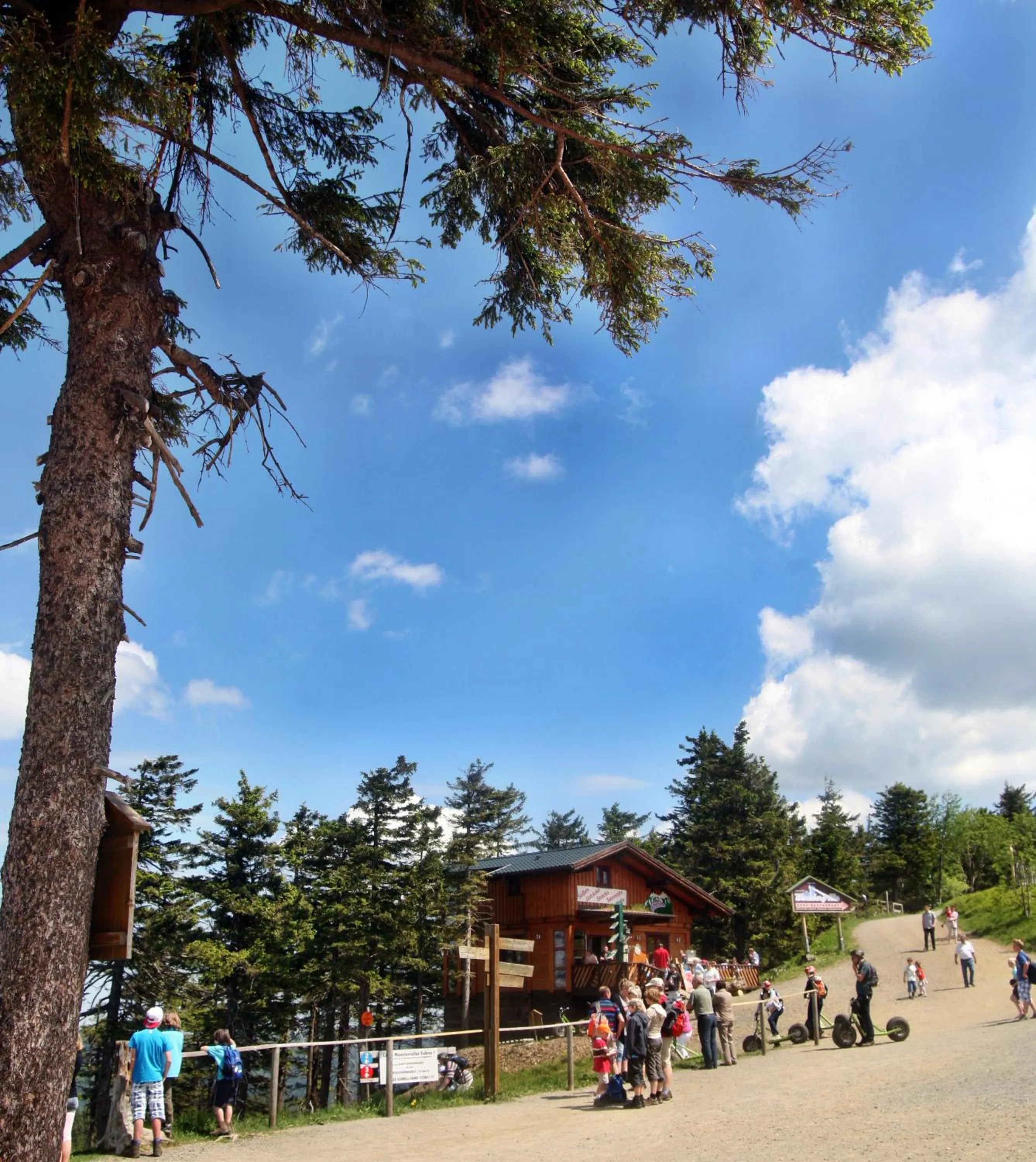 Area and facilities in relexa hotel Harz-Wald Braunlage