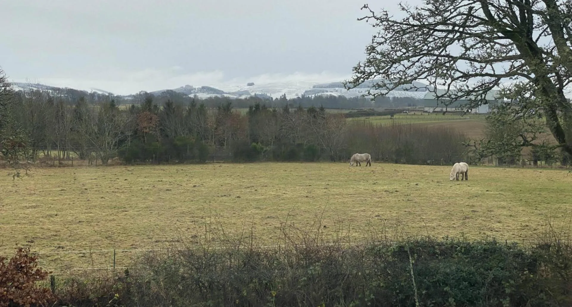View (from property/room) in The Smiddy House