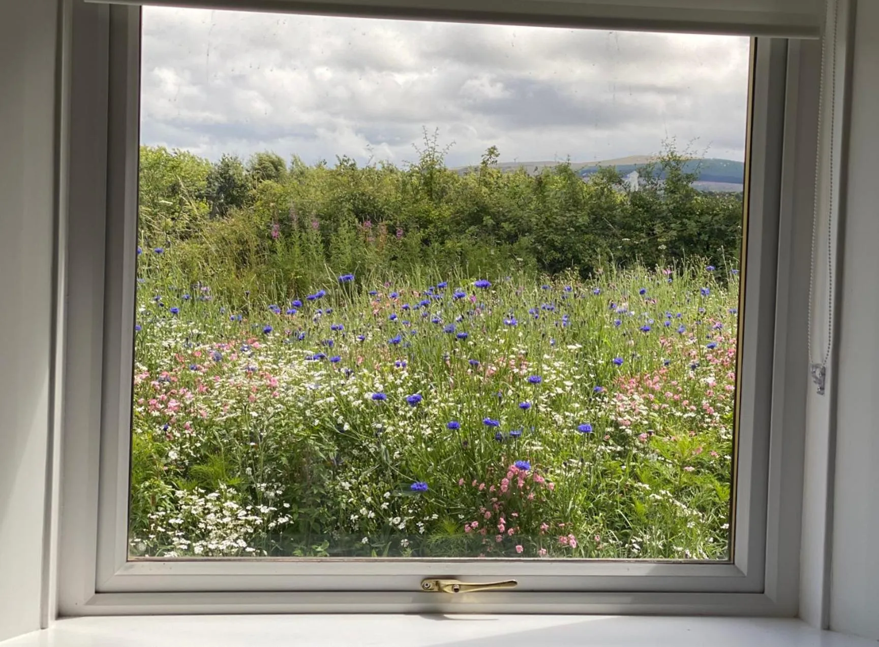 Garden view in The Smiddy House