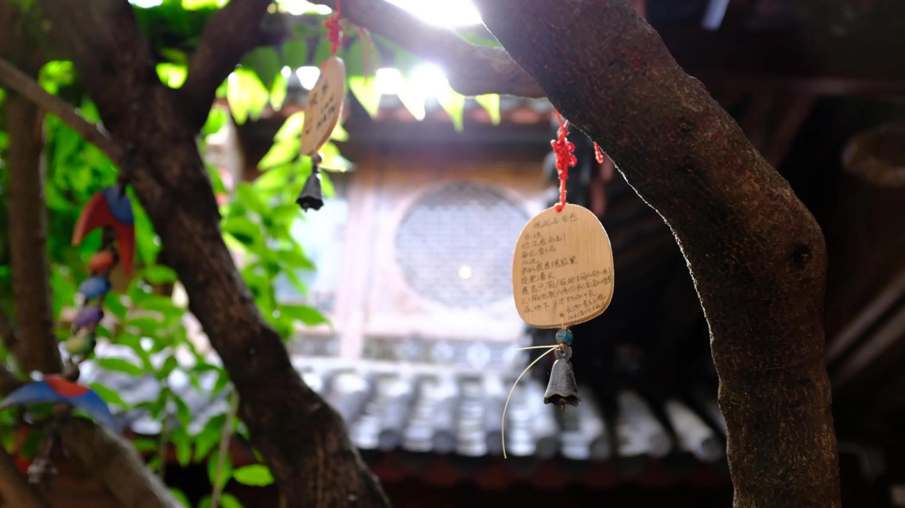 Blossom Hill Inn Lijiang Neverland