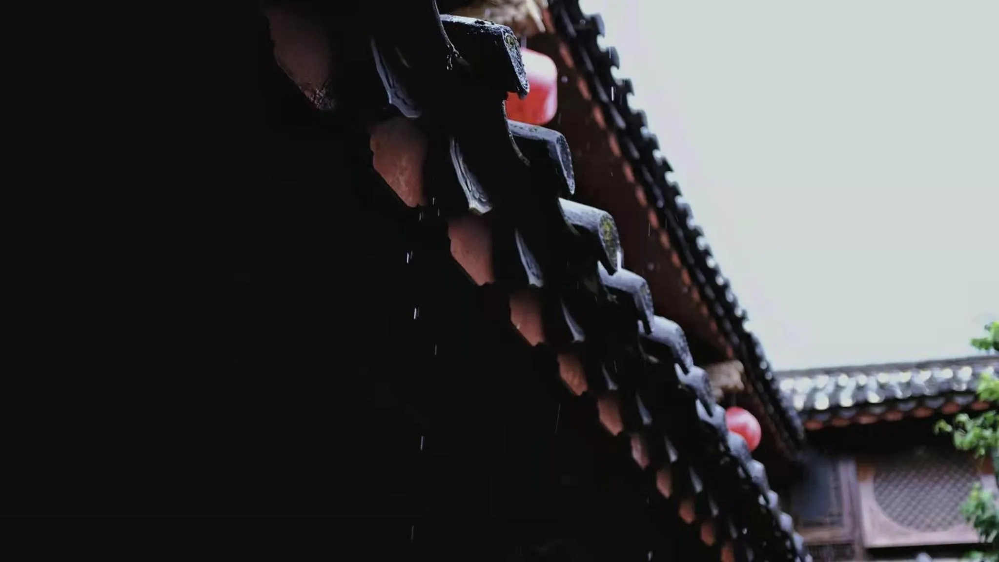 Blossom Hill Inn Lijiang Neverland