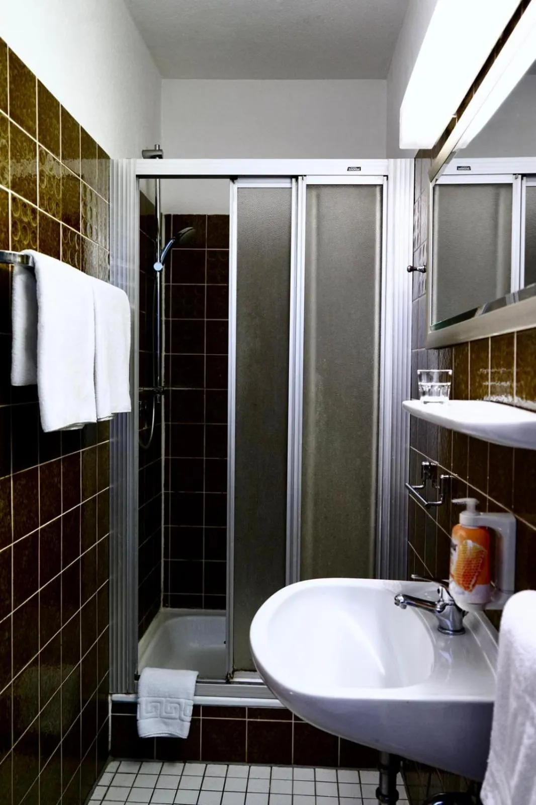 Shower in Hotel Berliner Hof