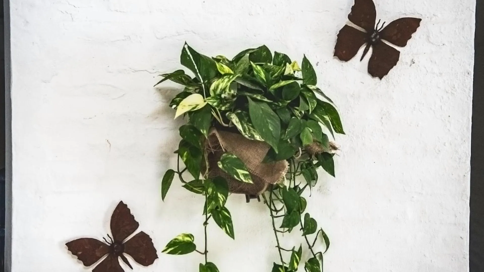 Property building in Posada Mendoza by DOT Tradition