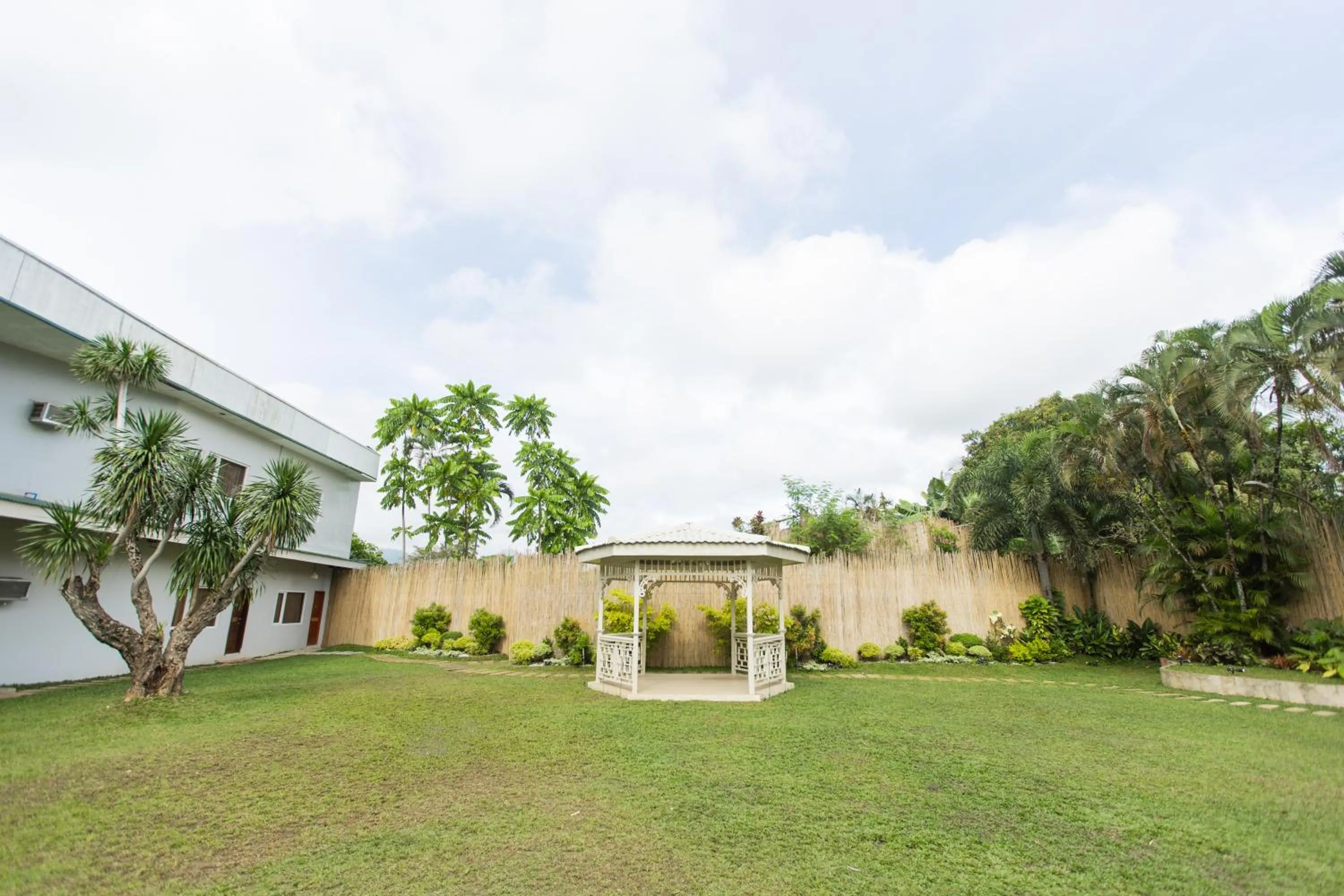 Garden in Hotel Valencia
