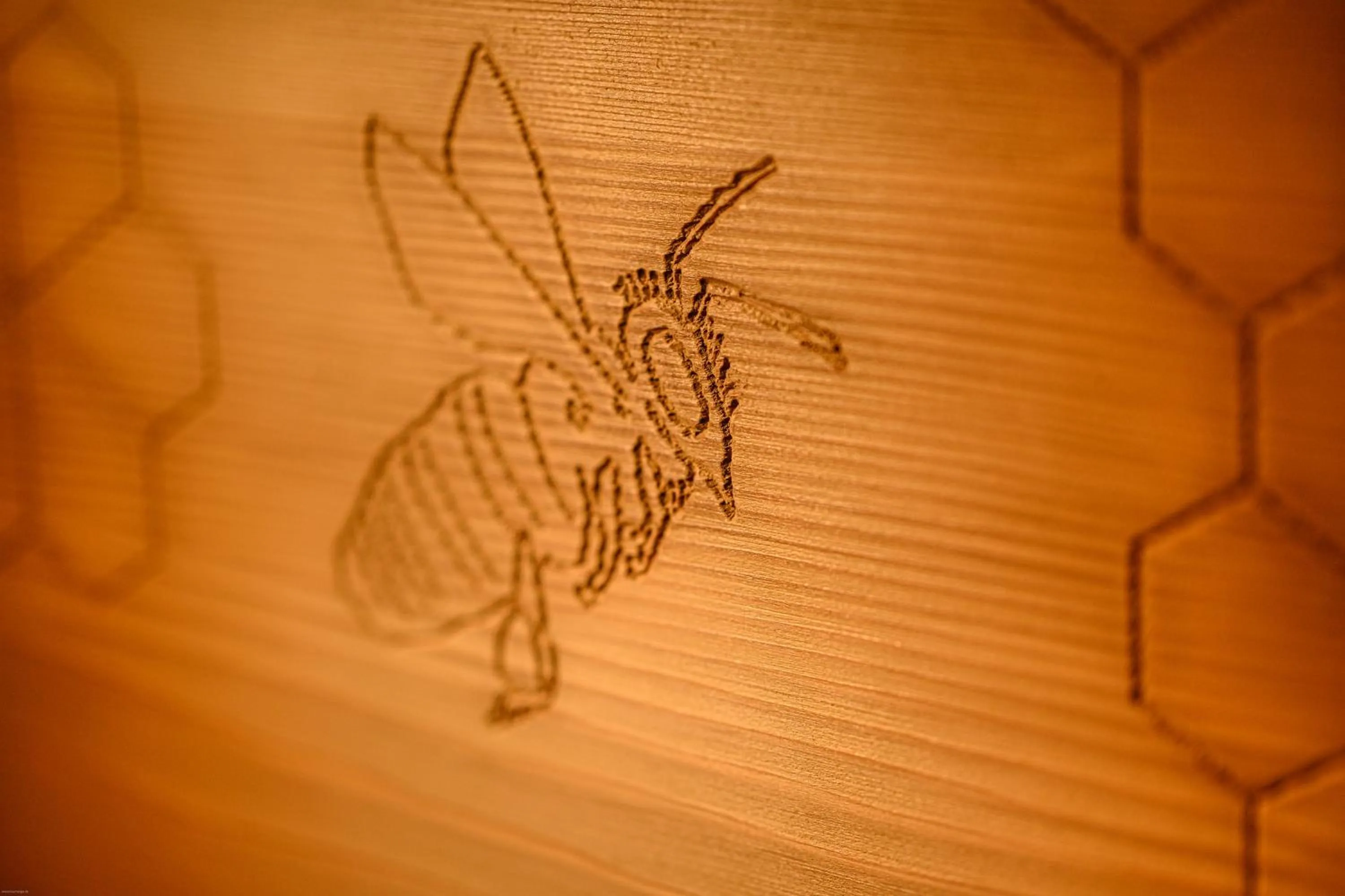 Decorative detail in Bavaria Biohotel