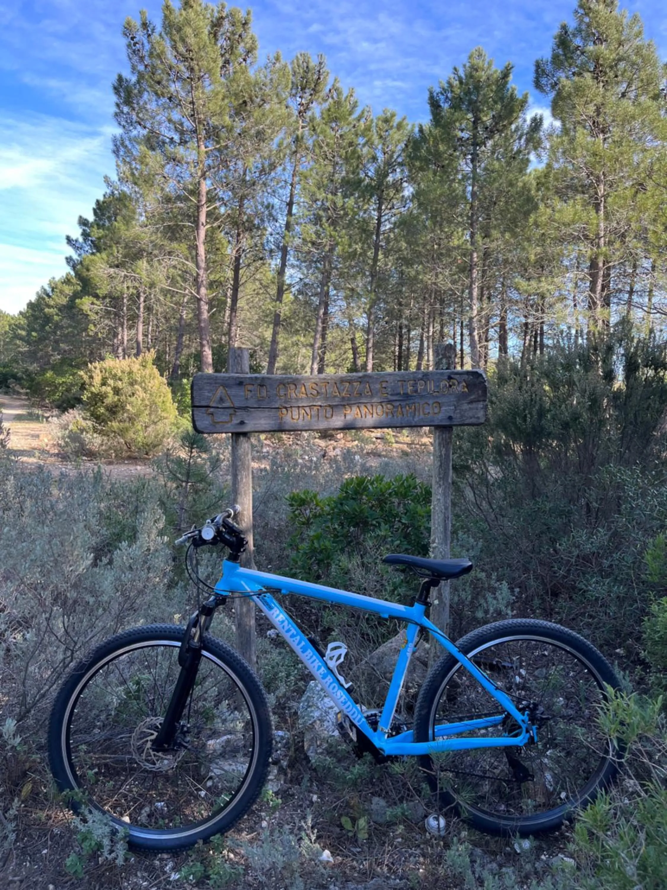 Spring in B&B Roseddu