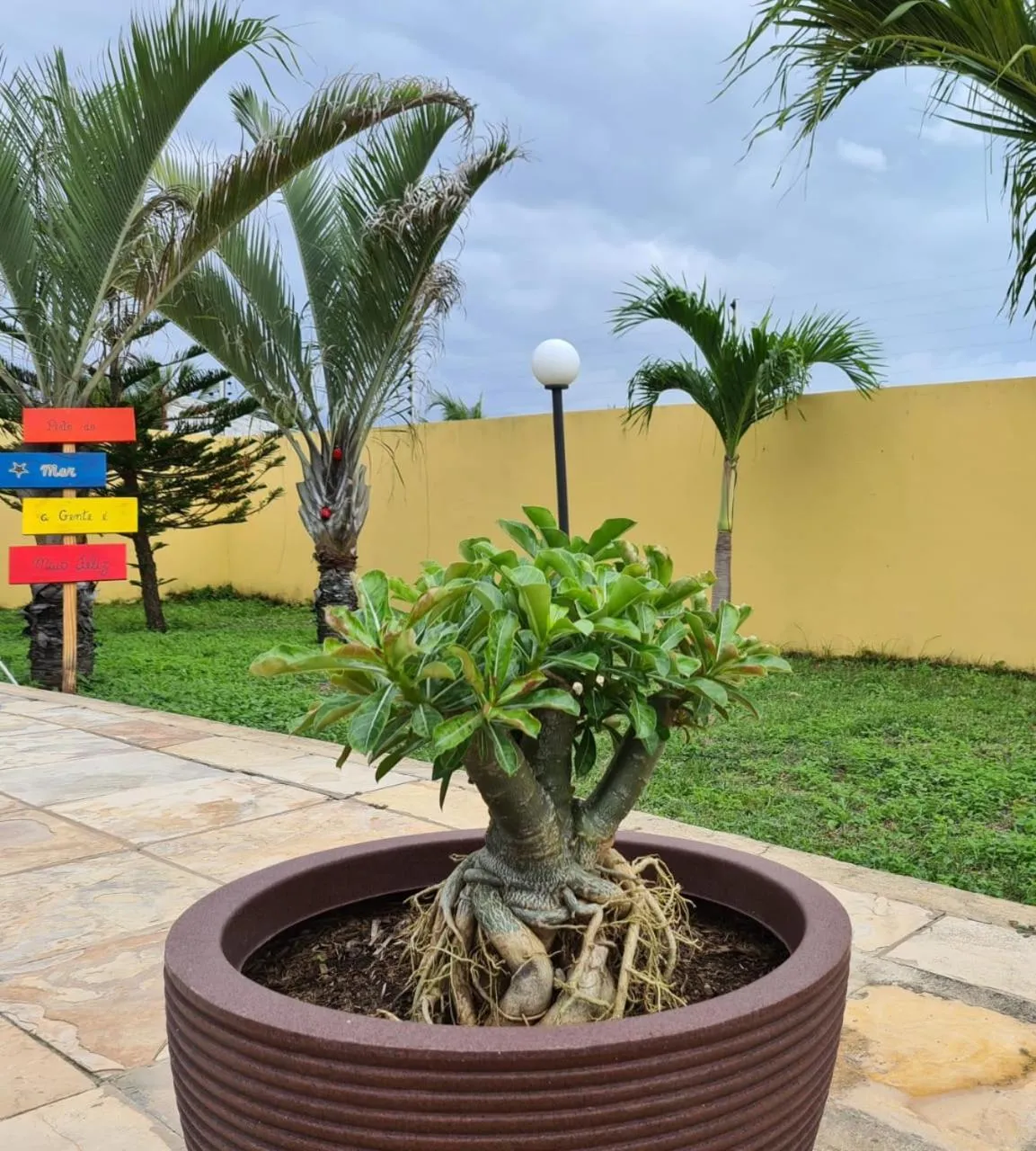 Seating area in Pousada Sonho de Mar