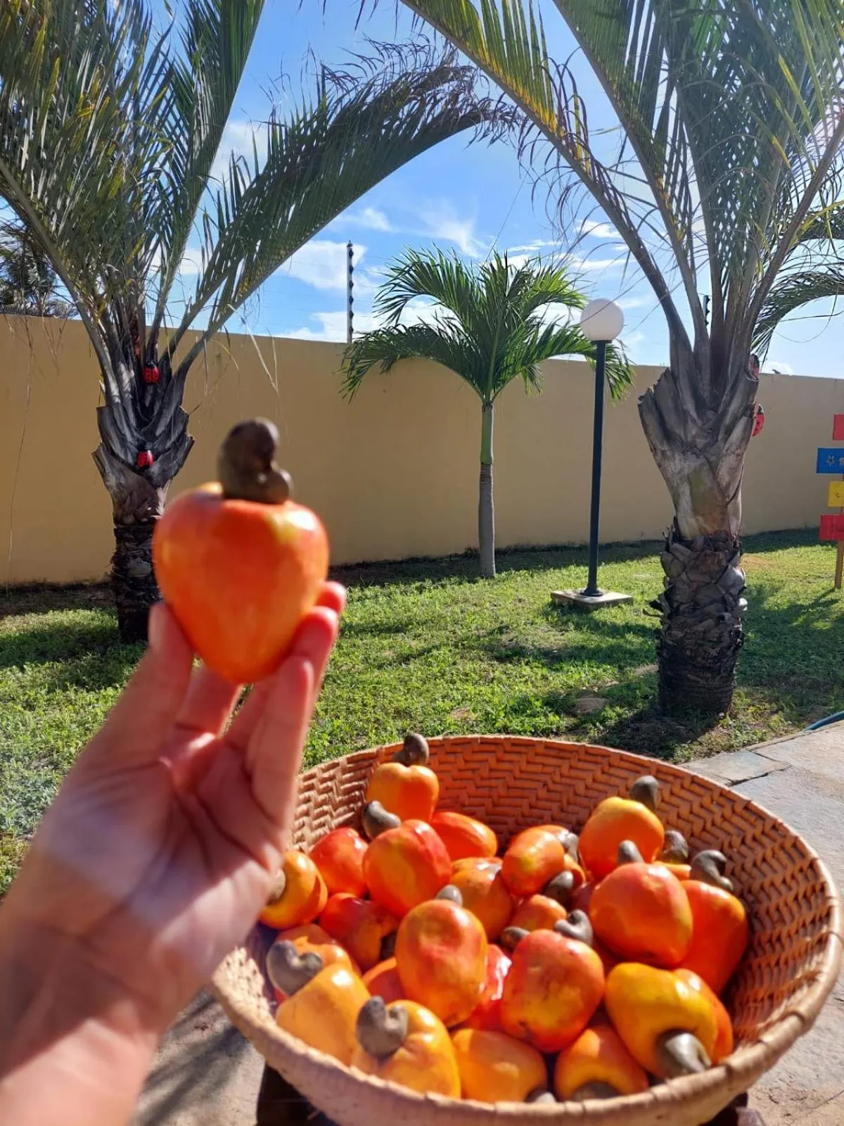 Buffet breakfast in Pousada Sonho de Mar